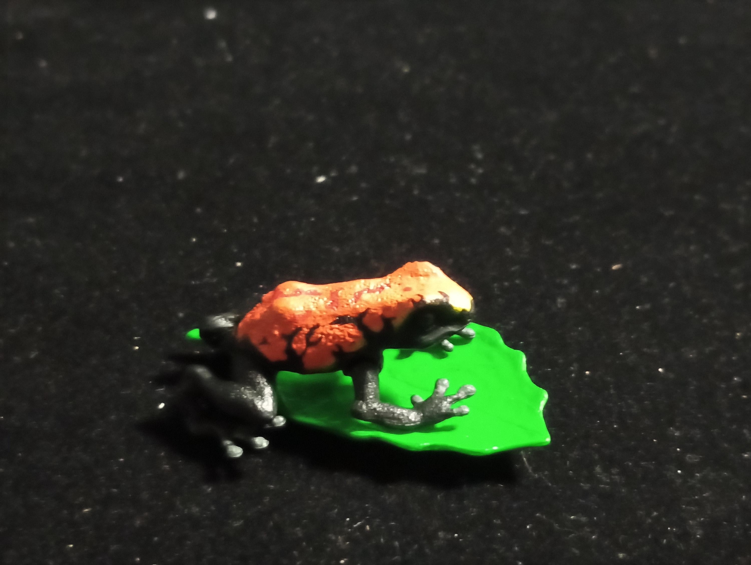 Strawberry poison dart frog “The Poison” - Epoch
