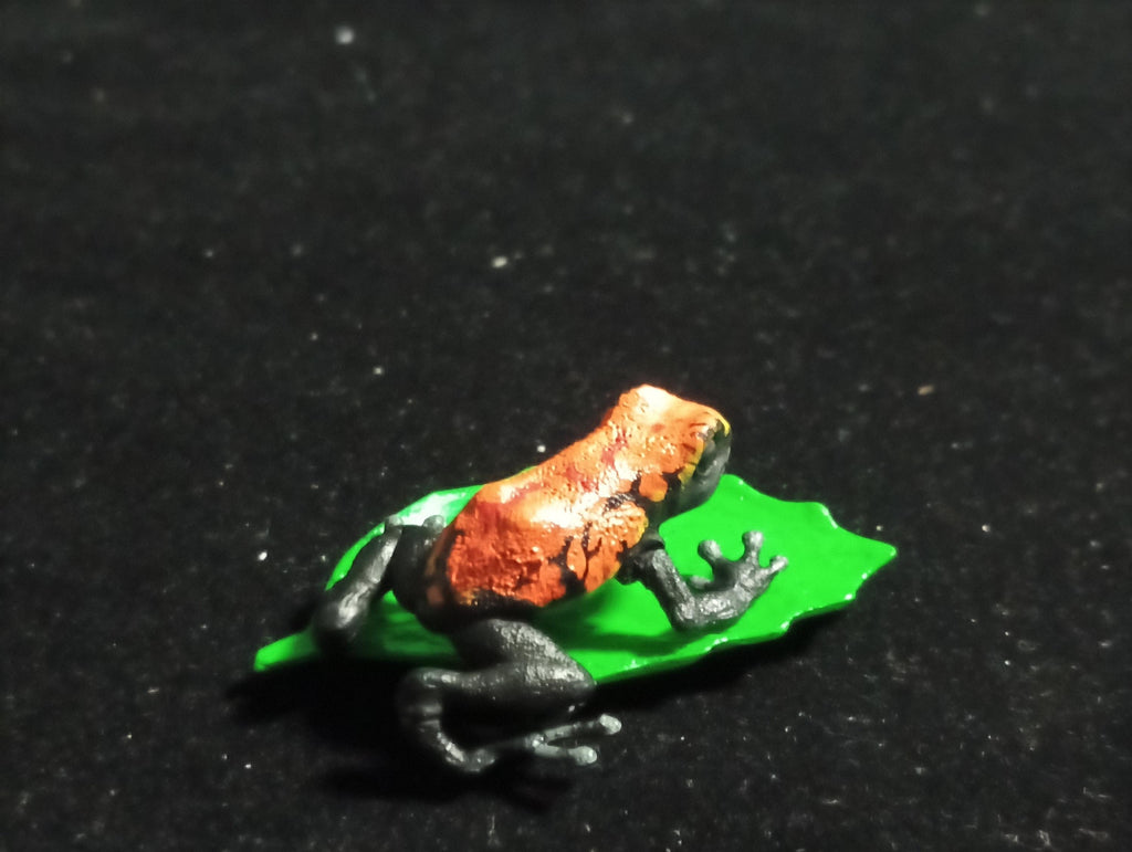 Strawberry poison dart frog “The Poison” - Epoch