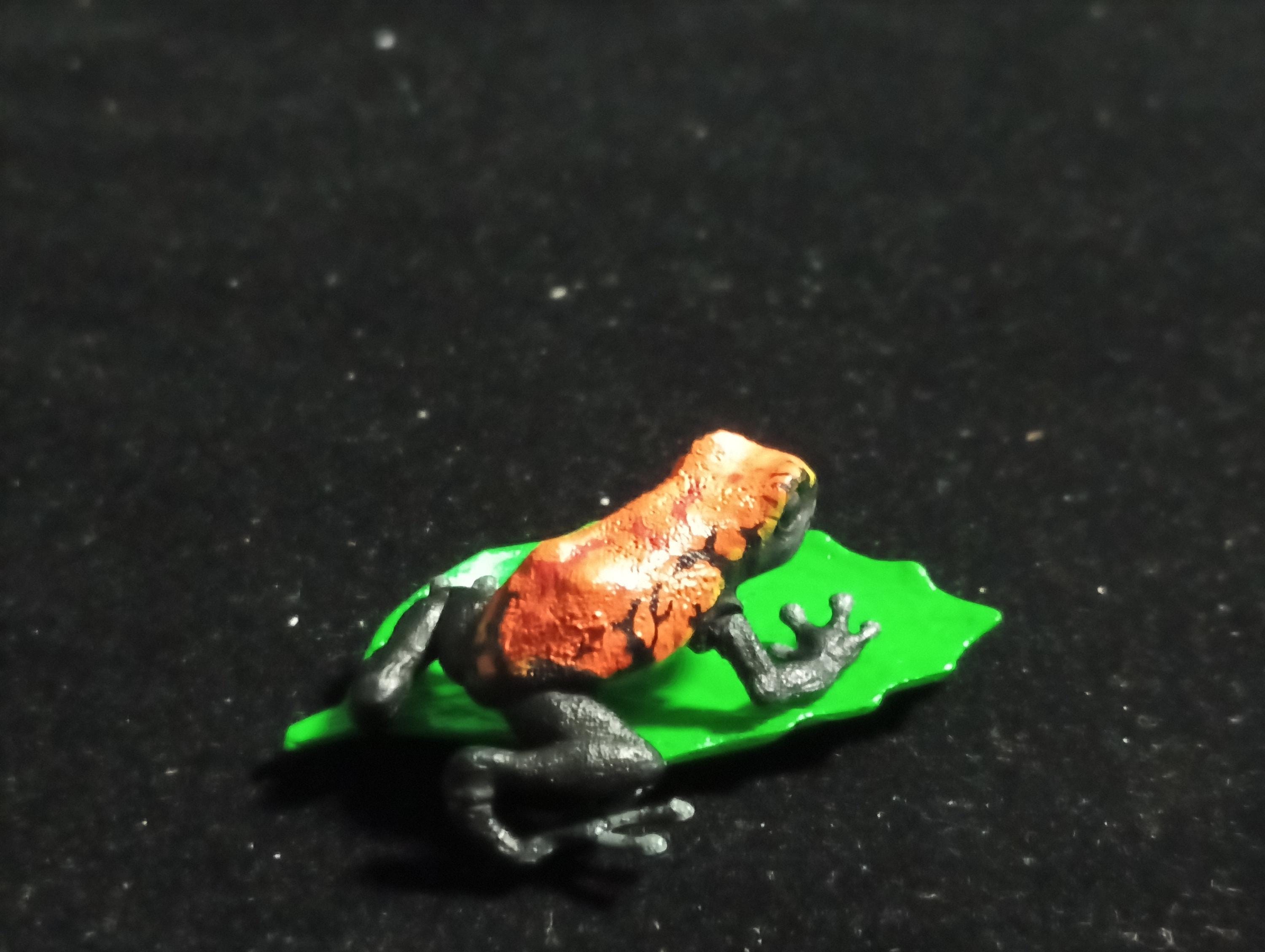 Strawberry poison dart frog “The Poison” - Epoch