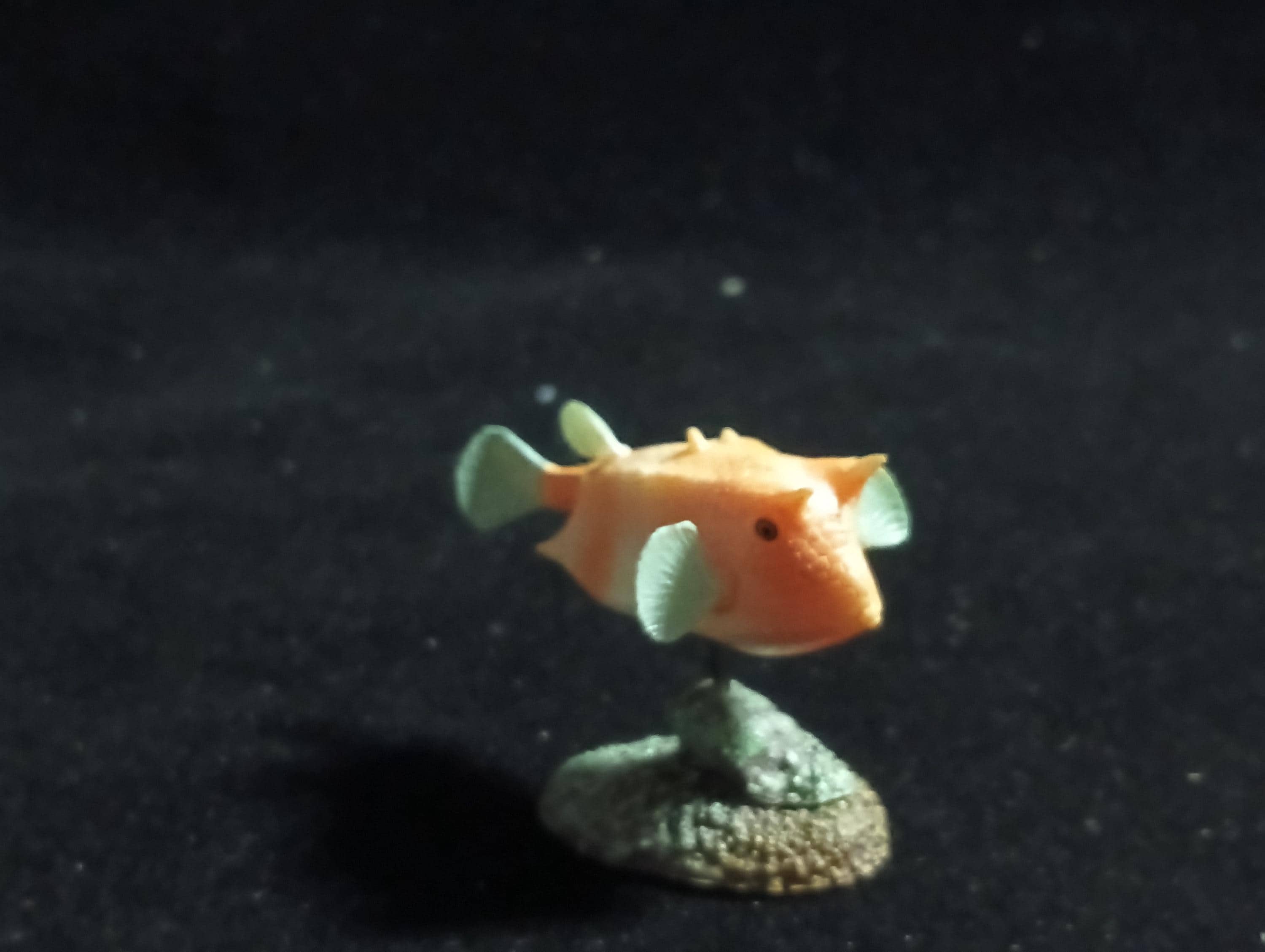 Pufferfish “The Poison” - Epoch