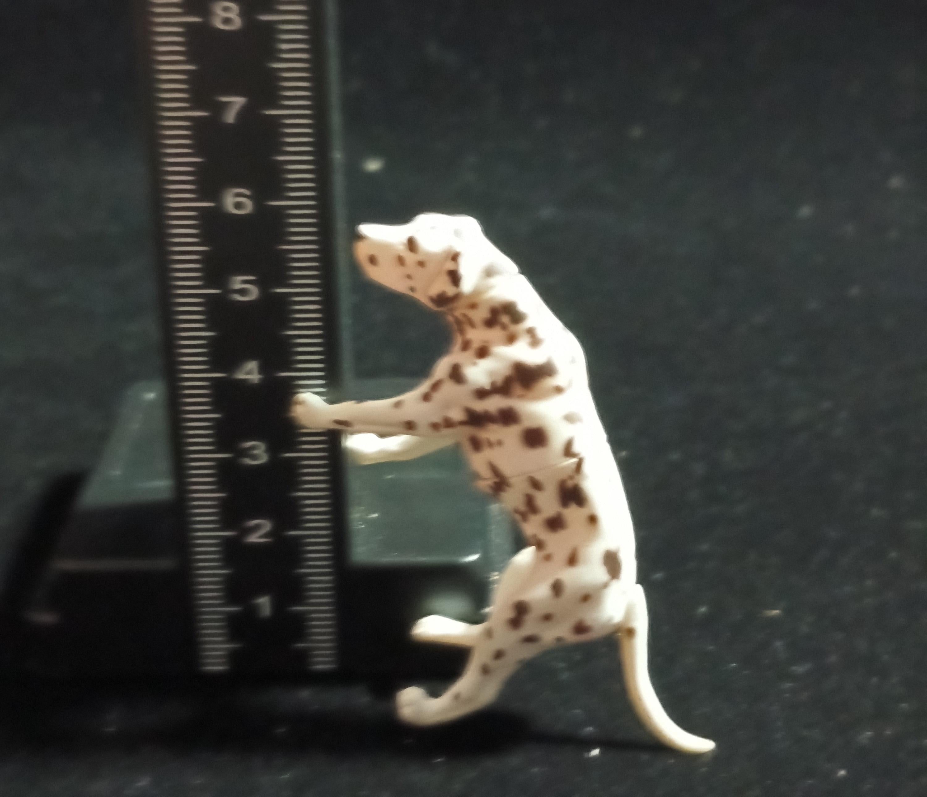 Dalmatian Black Choco Q Pet Animals 3rd Edition Kaiyodo