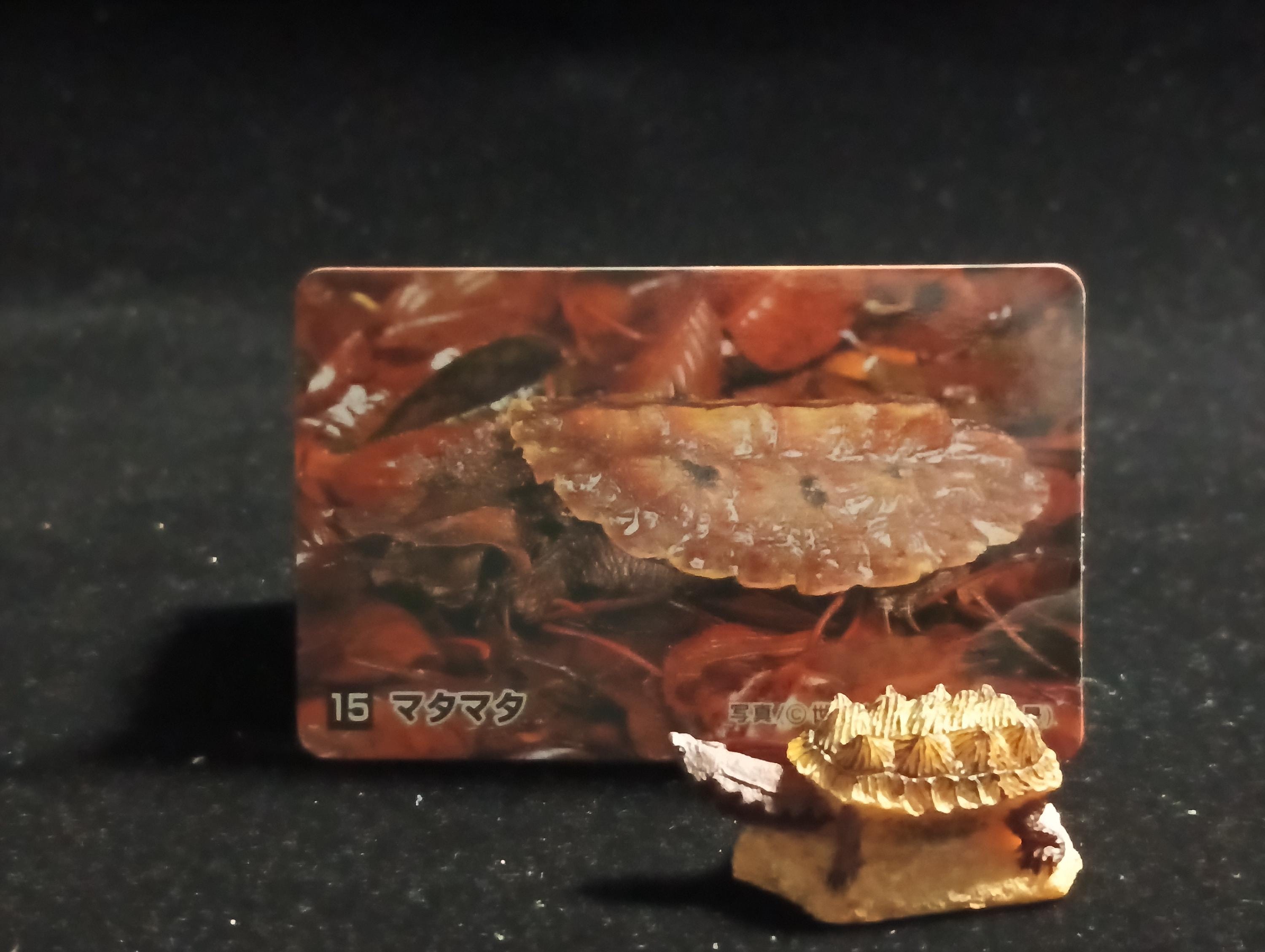 Kabaya Japan Exclusive Miniature Meta Tutle