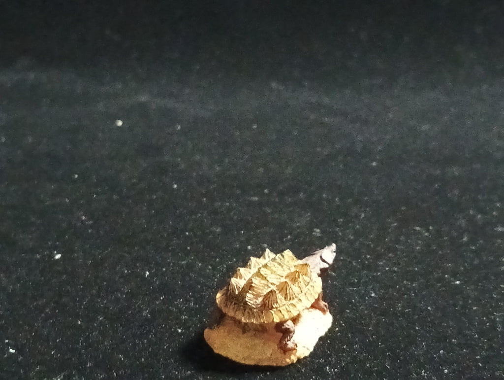 Kabaya Japan Exclusive Miniature Meta Tutle