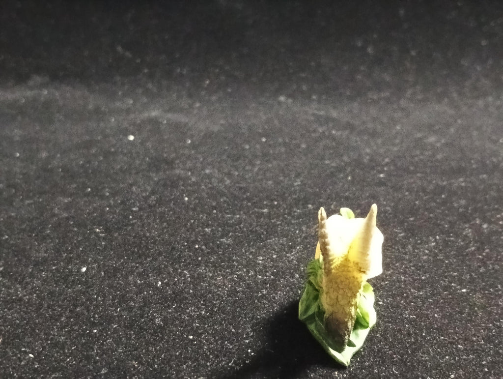 Kabaya Japan Exclusive Miniature Hummingbird