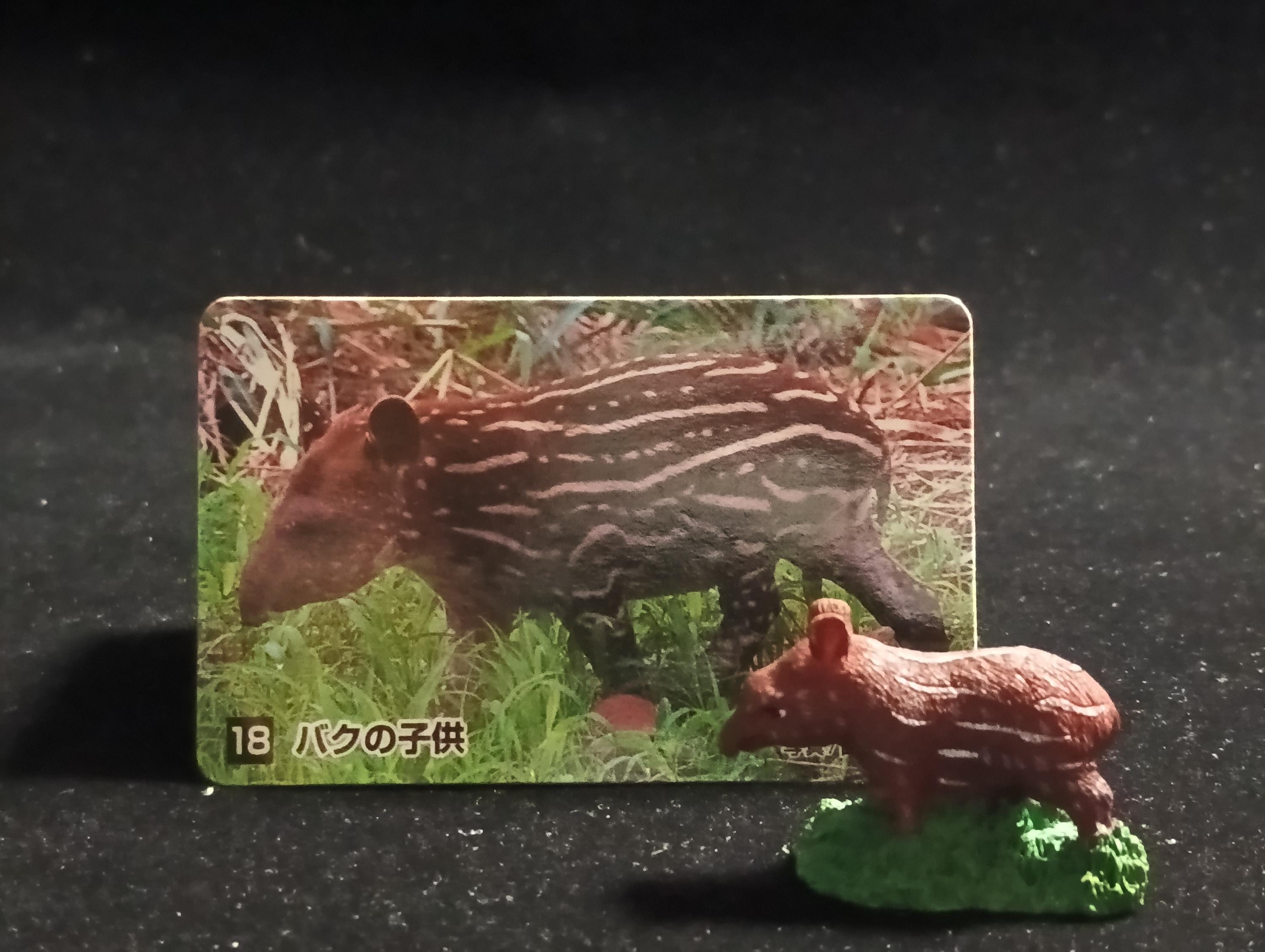 The Mysterious of Amazon  Japan Exclusive Miniature - Baby tapir Kabaya 2003