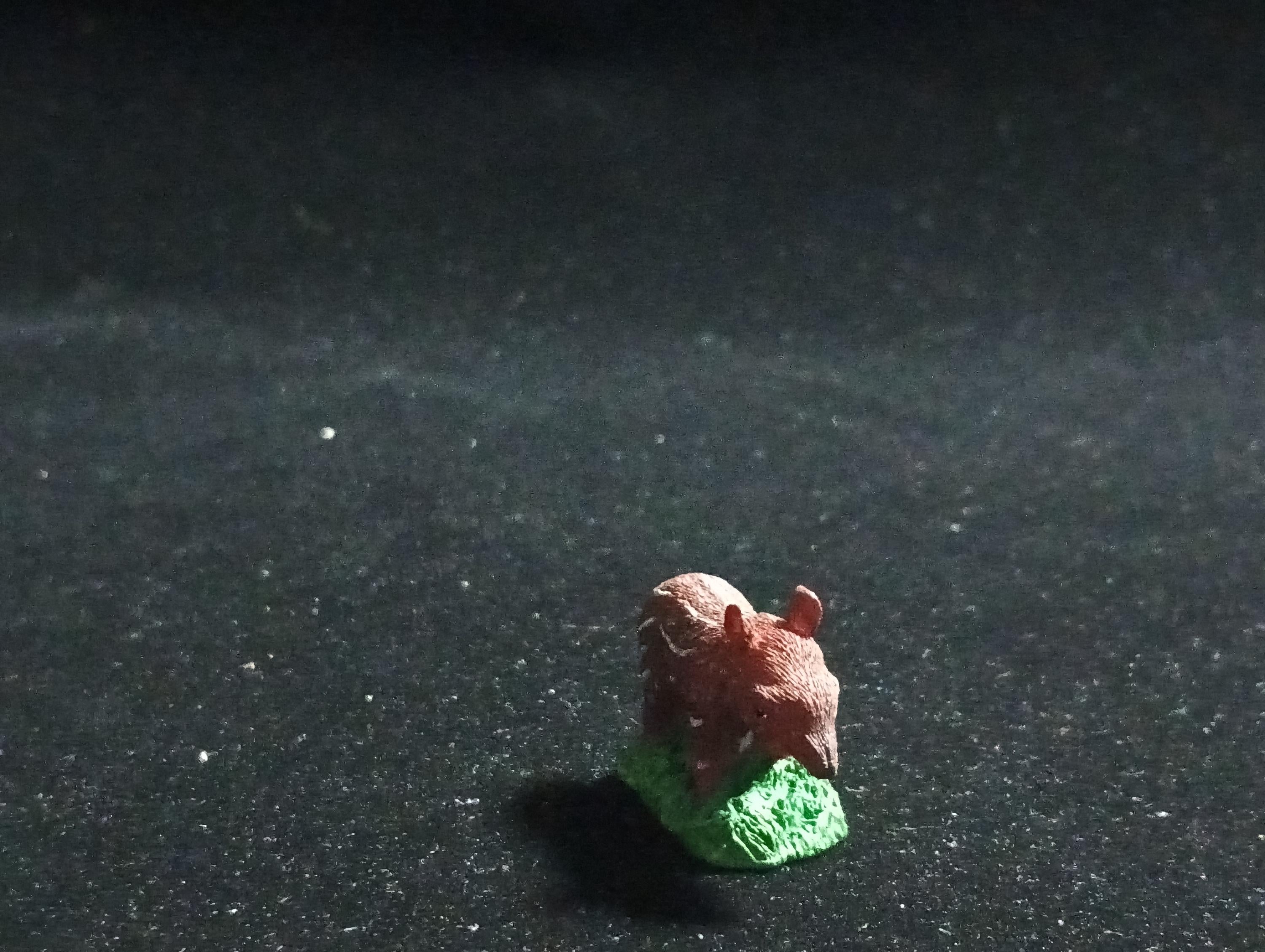 The Mysterious of Amazon  Japan Exclusive Miniature - Baby tapir Kabaya 2003