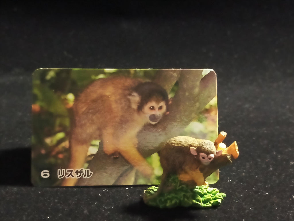 The Mysterious of Amazon Japan Exclusive Miniature - Squirrel Monkey Kabaya 2003