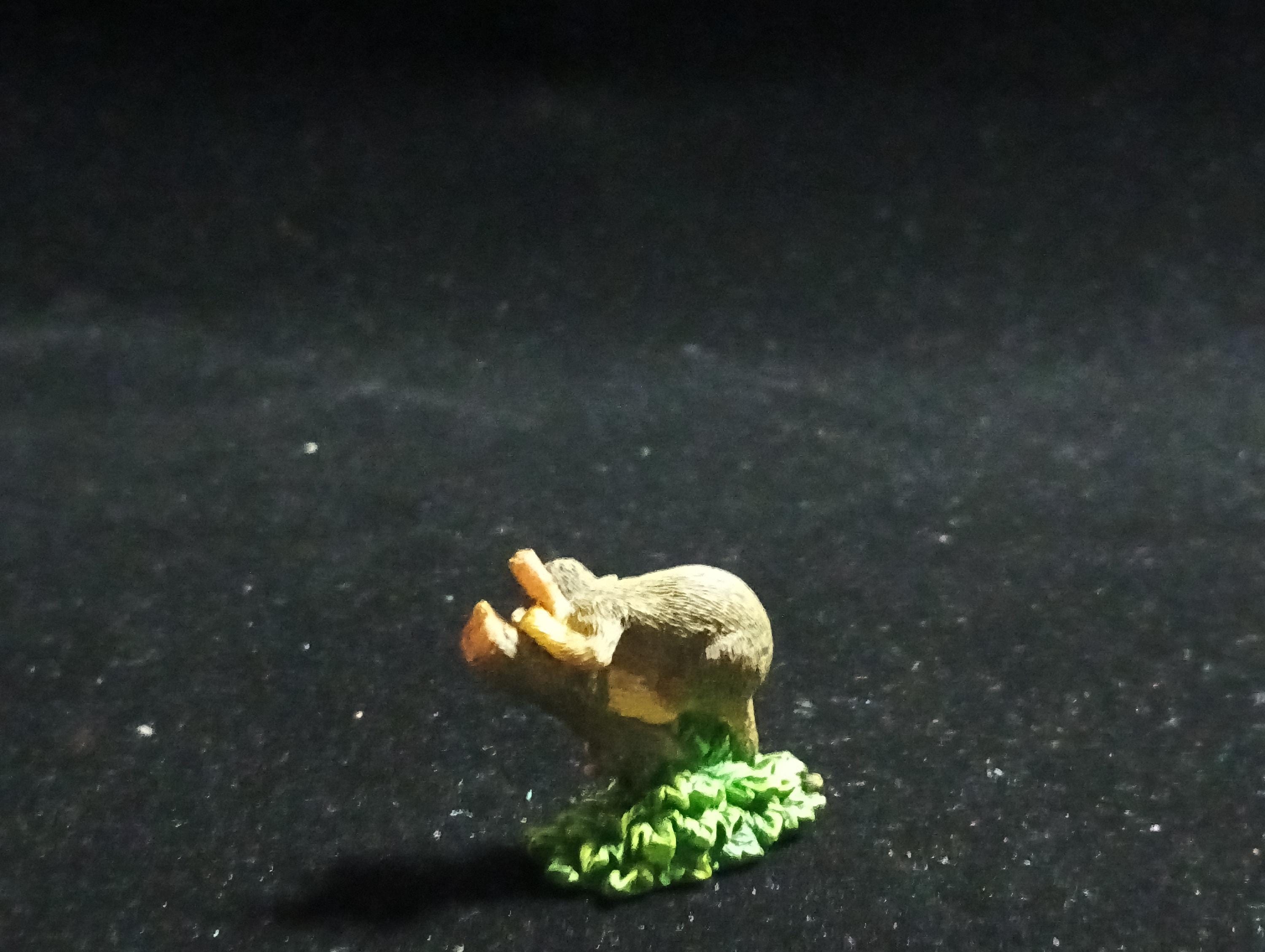 The Mysterious of Amazon Japan Exclusive Miniature - Squirrel Monkey Kabaya 2003