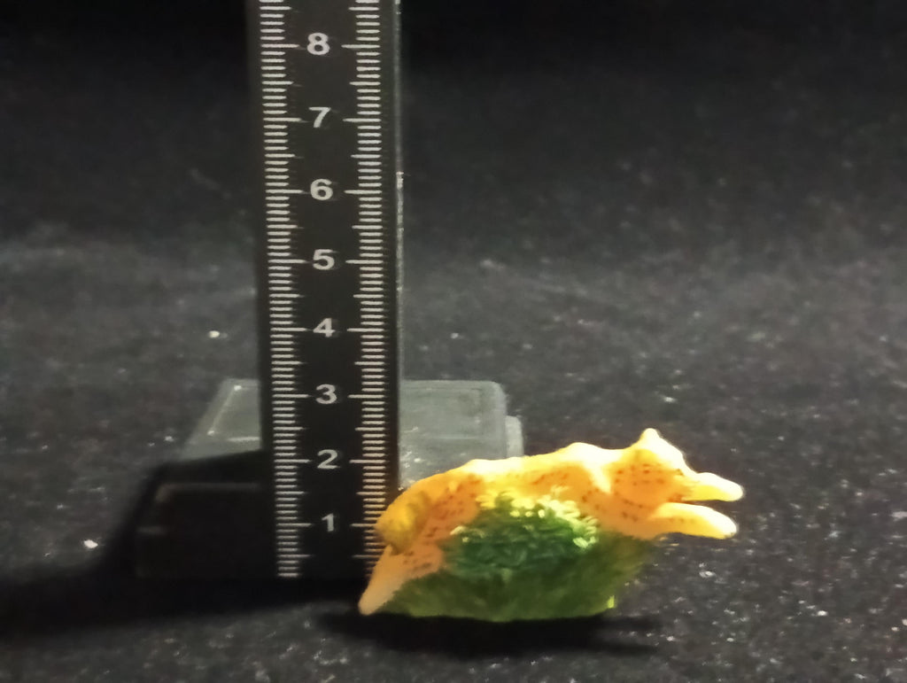 The Mysterious of Amazon Japan Exclusive Miniature - Jaguar Kabaya 2003