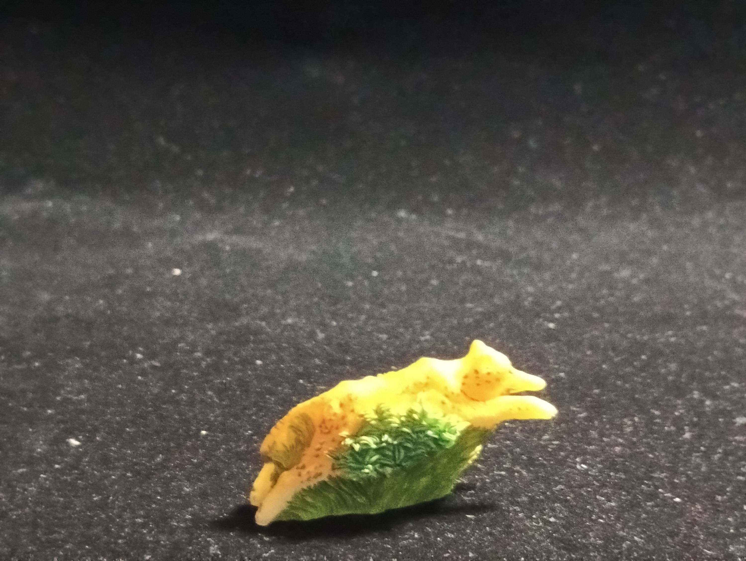 The Mysterious of Amazon Japan Exclusive Miniature - Jaguar Kabaya 2003