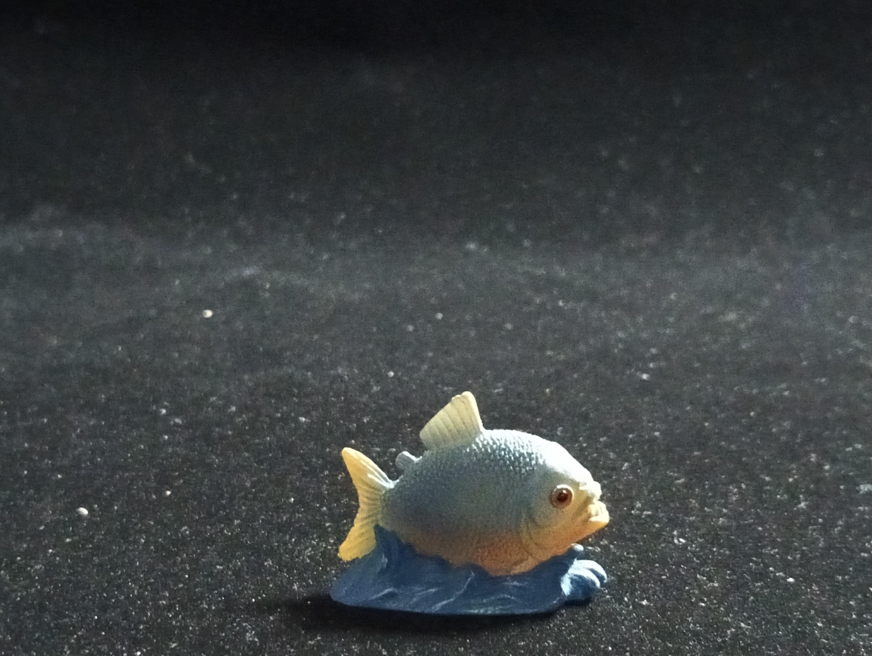 The Mysterious of Amazon Japan Exclusive Miniature - Piranha Kabaya 2003