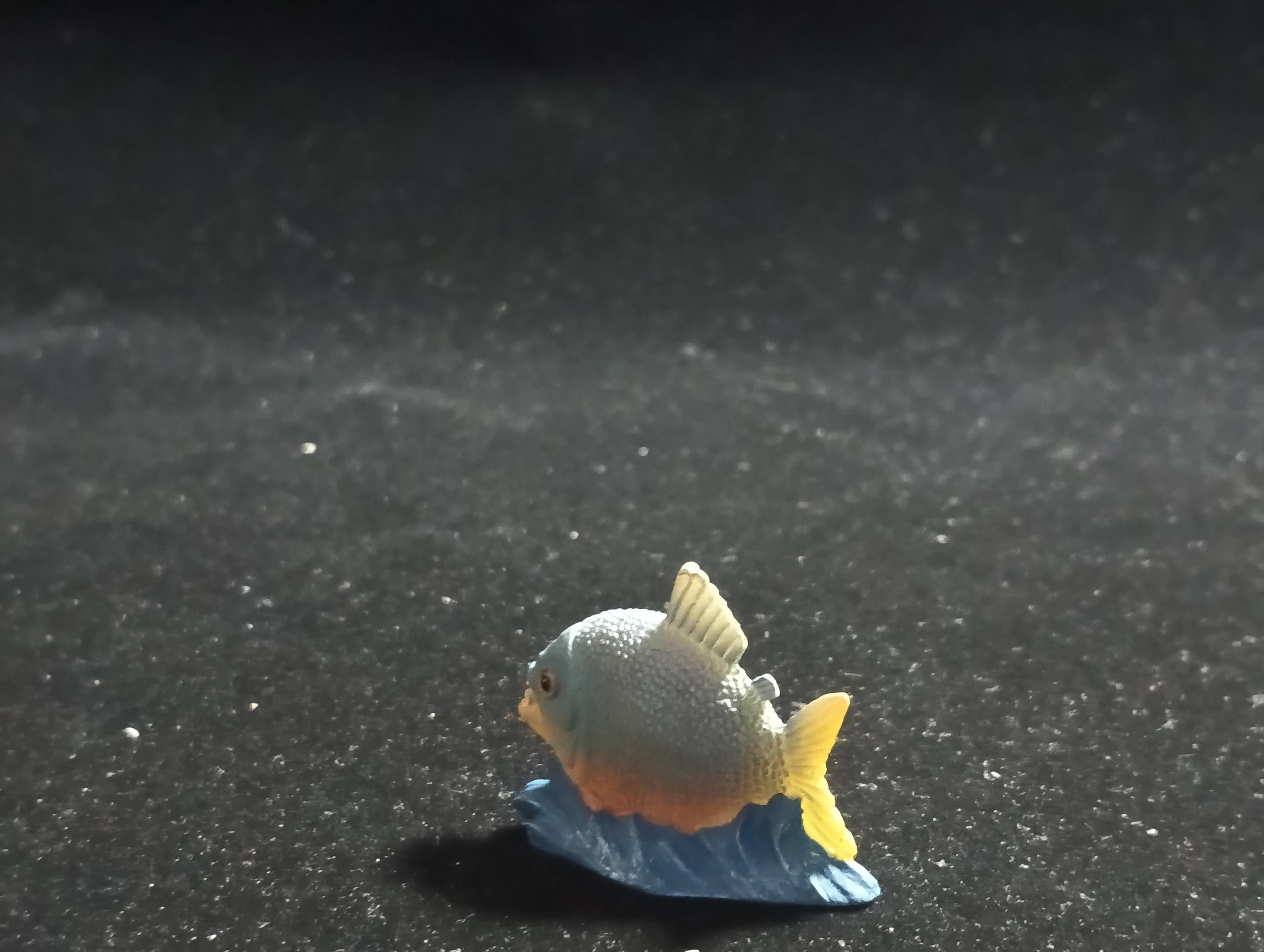 The Mysterious of Amazon Japan Exclusive Miniature - Piranha Kabaya 2003
