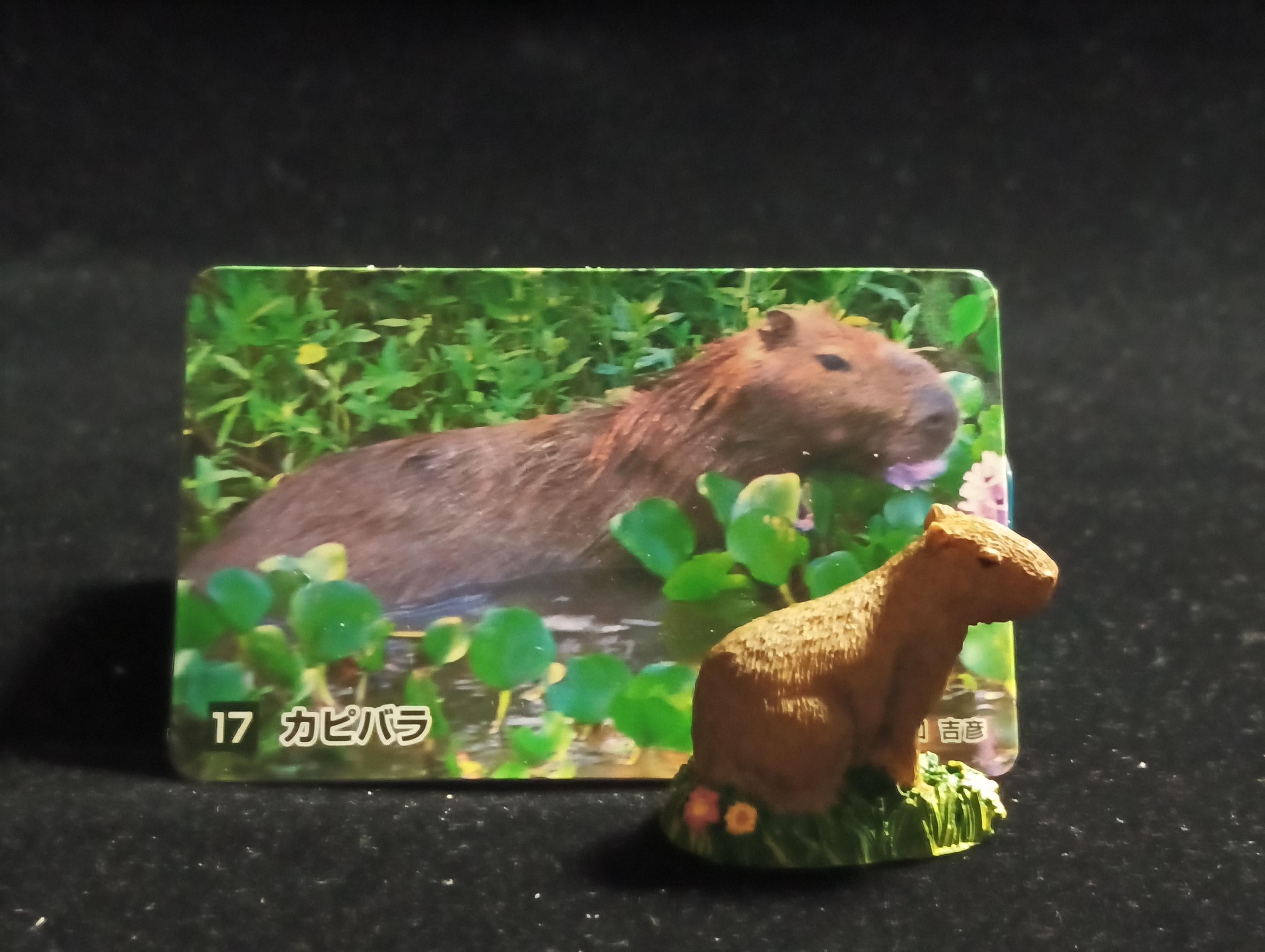 The Mysterious of Amazon Japan Exclusive Miniature - Capybara Kabaya 2003