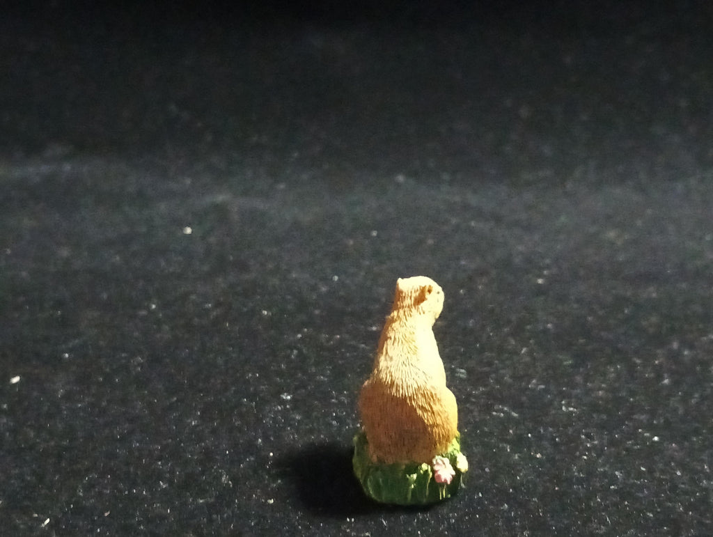 The Mysterious of Amazon Japan Exclusive Miniature - Capybara Kabaya 2003