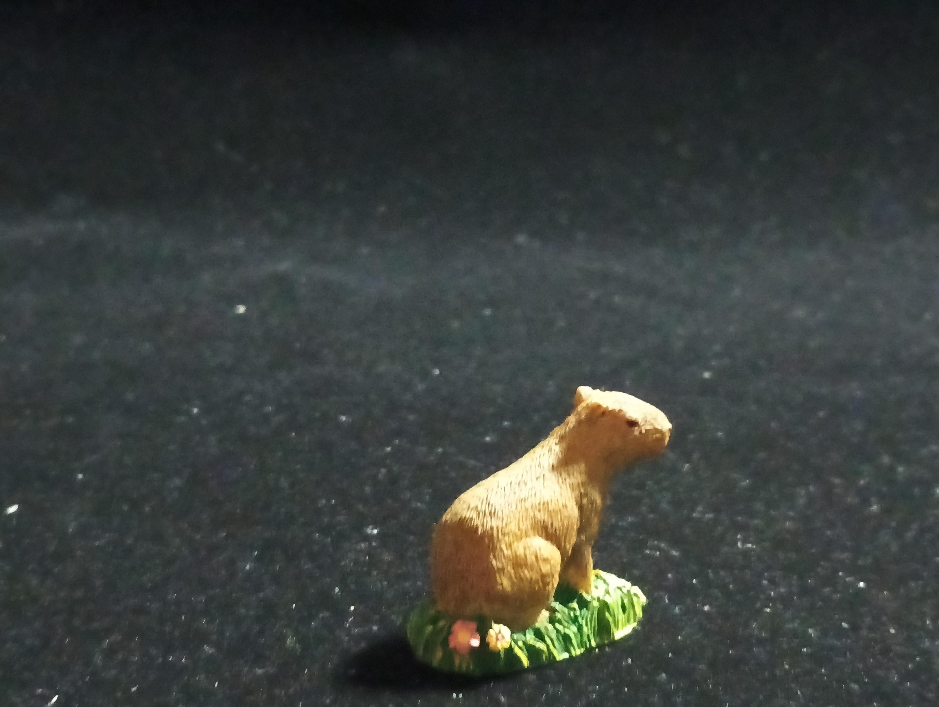 The Mysterious of Amazon Japan Exclusive Miniature - Capybara Kabaya 2003