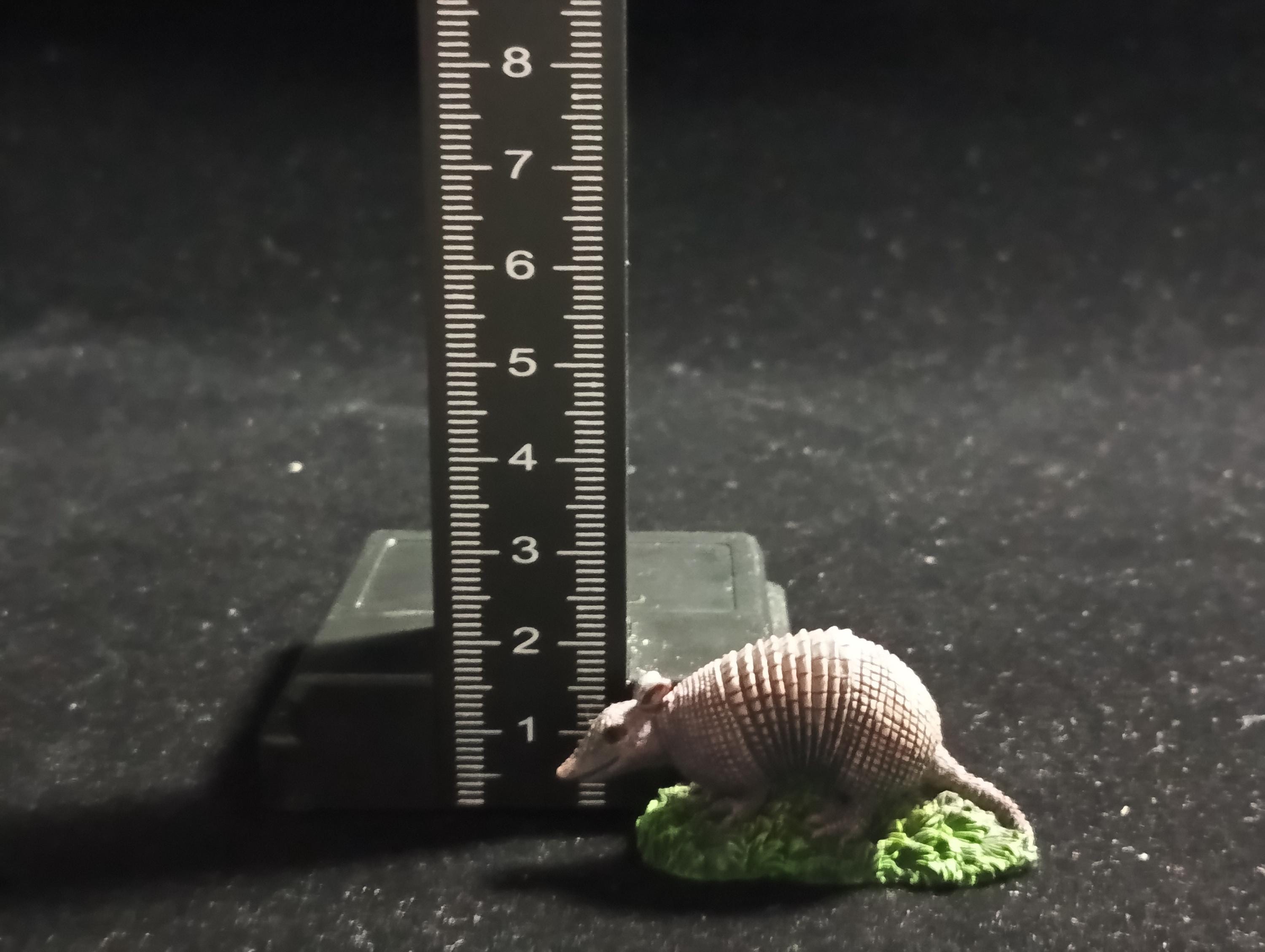 The Mysterious of Amazon Japan Exclusive Miniature - Dasypus novemcinctus Kabaya 2003