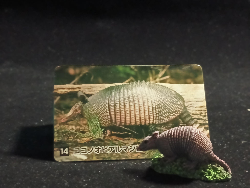 The Mysterious of Amazon Japan Exclusive Miniature - Dasypus novemcinctus Kabaya 2003