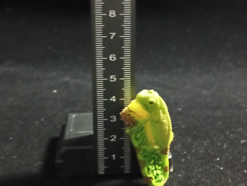 The Mysterious of Amazon Japan Exclusive Miniature - Green Iguana Kabaya 2003