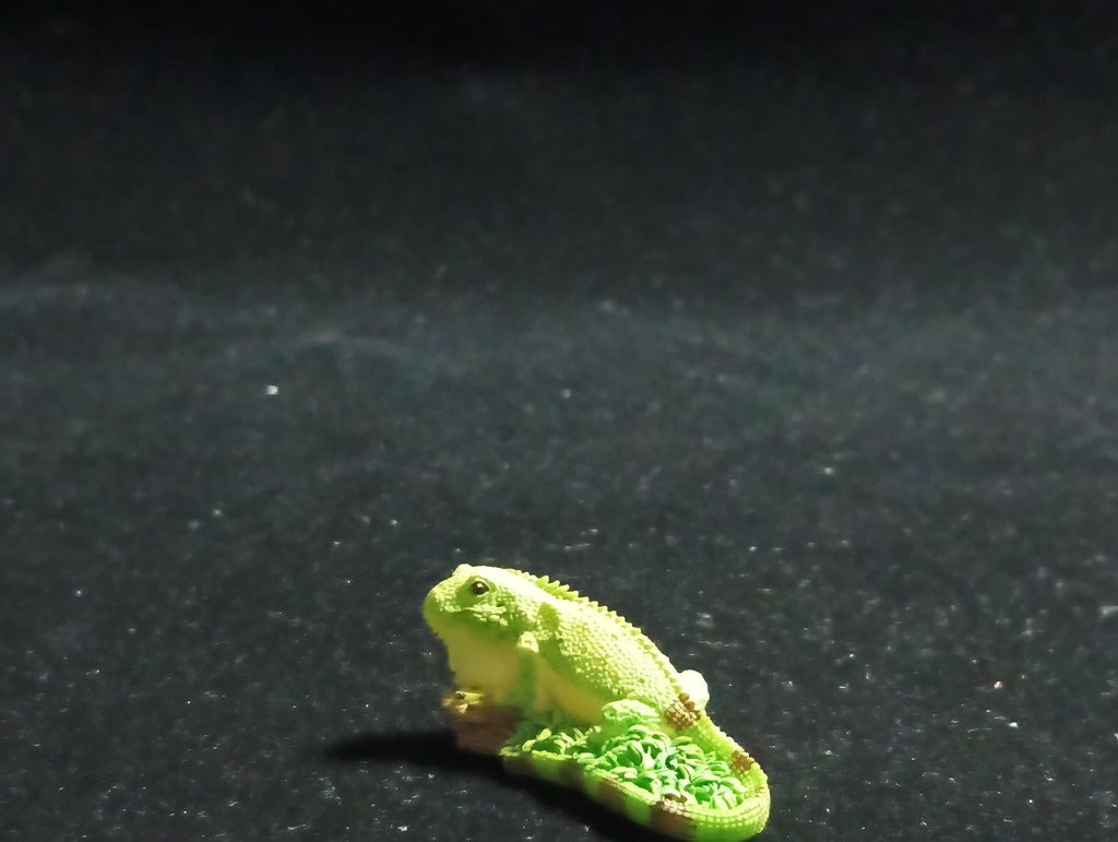 The Mysterious of Amazon Japan Exclusive Miniature - Green Iguana Kabaya 2003