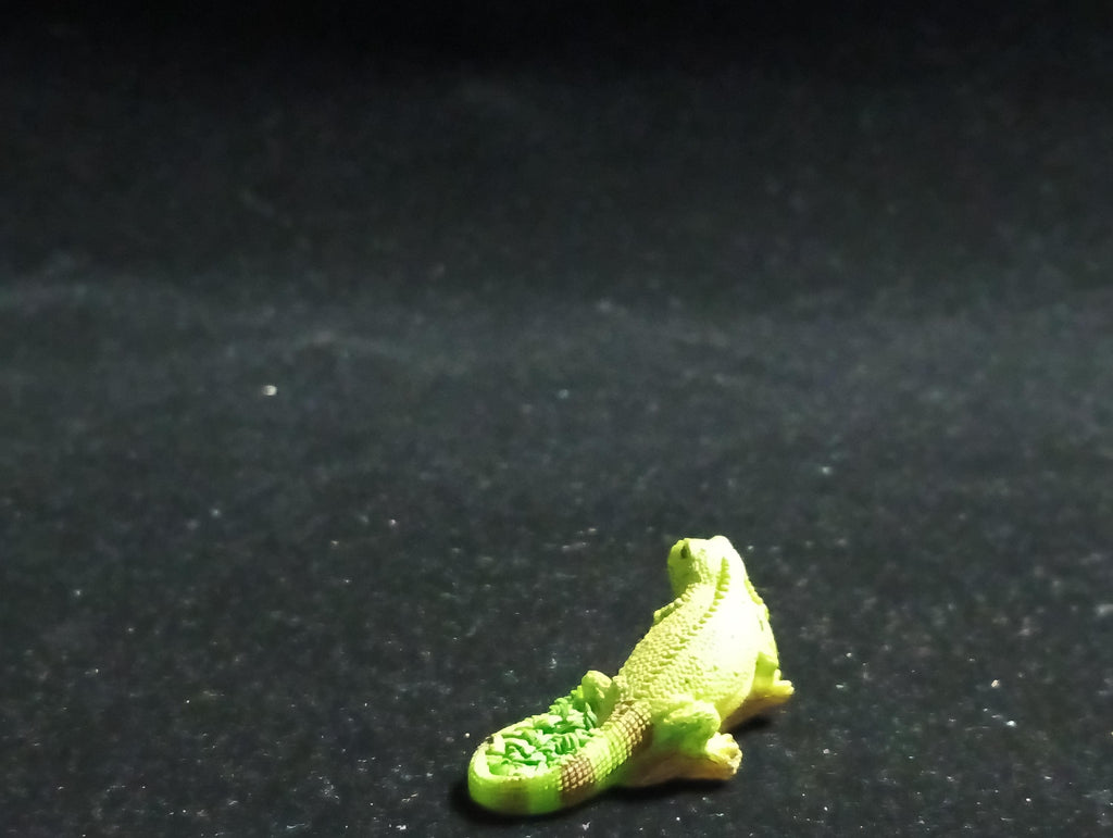 The Mysterious of Amazon Japan Exclusive Miniature - Green Iguana Kabaya 2003