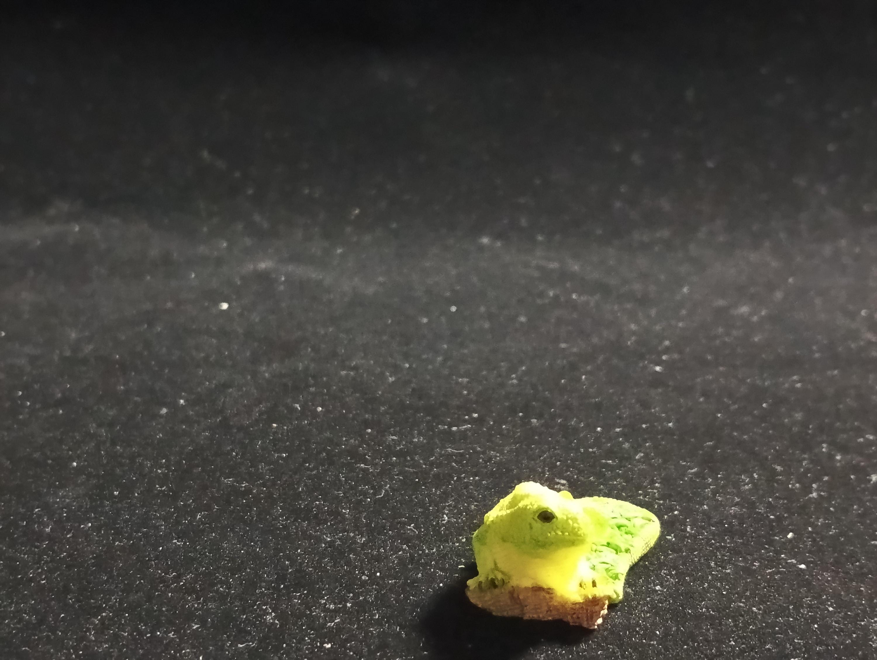 The Mysterious of Amazon Japan Exclusive Miniature - Green Iguana Kabaya 2003