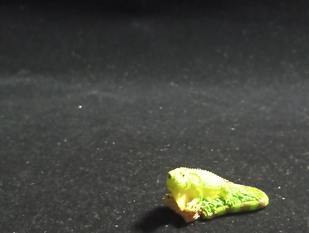 The Mysterious of Amazon Japan Exclusive Miniature - Green Iguana Kabaya 2003