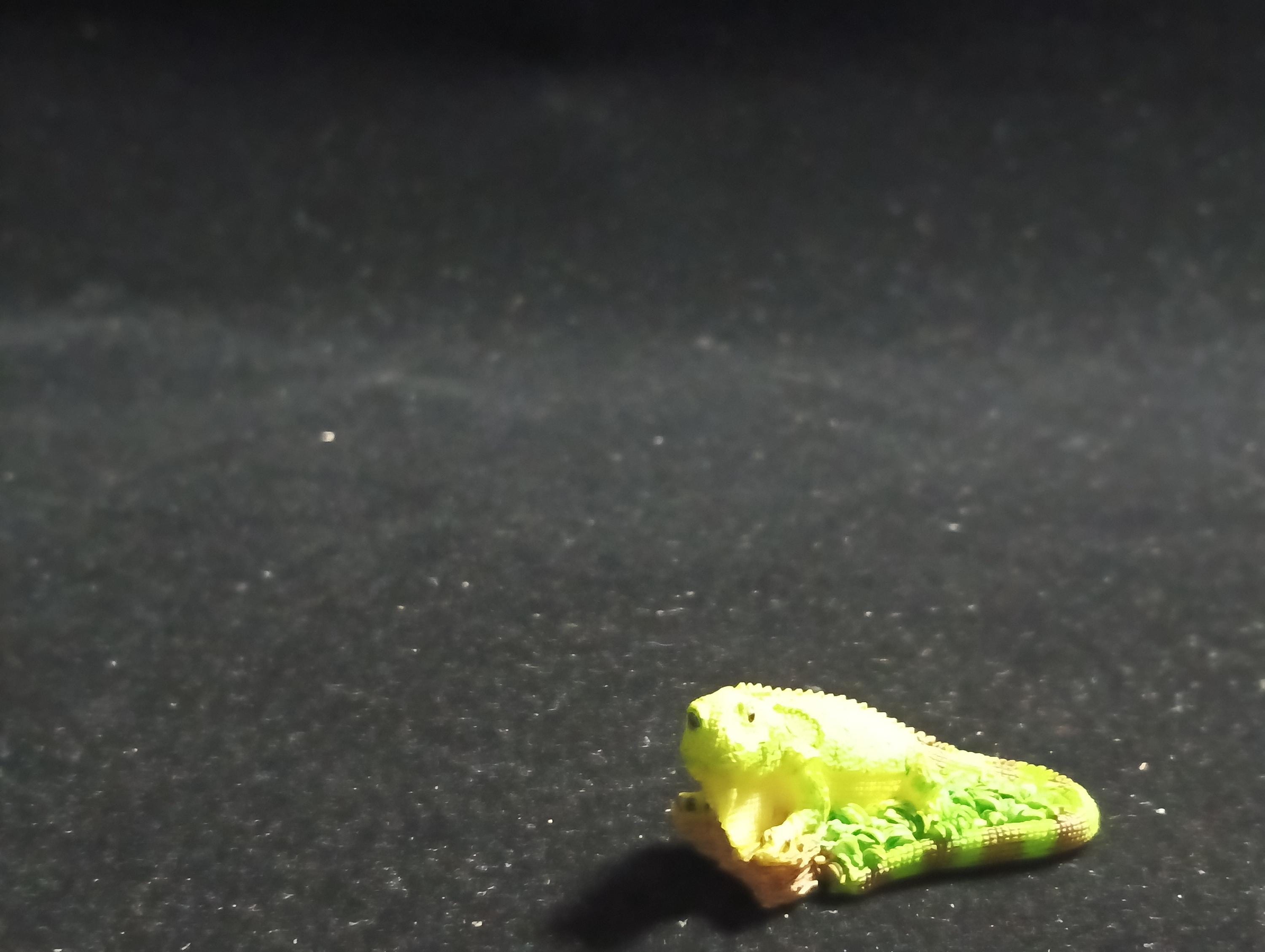 The Mysterious of Amazon Japan Exclusive Miniature - Green Iguana Kabaya 2003