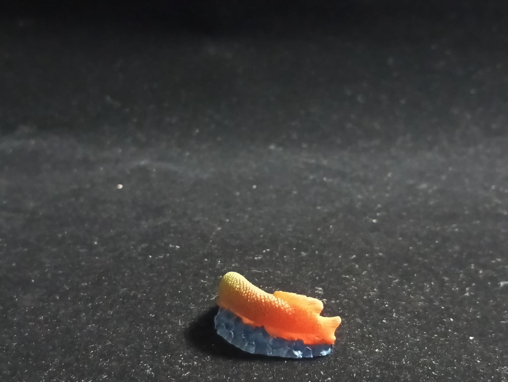 The Mysterious of Amazon Japan Exclusive Miniature - Arapaima gigas Kabaya 2003