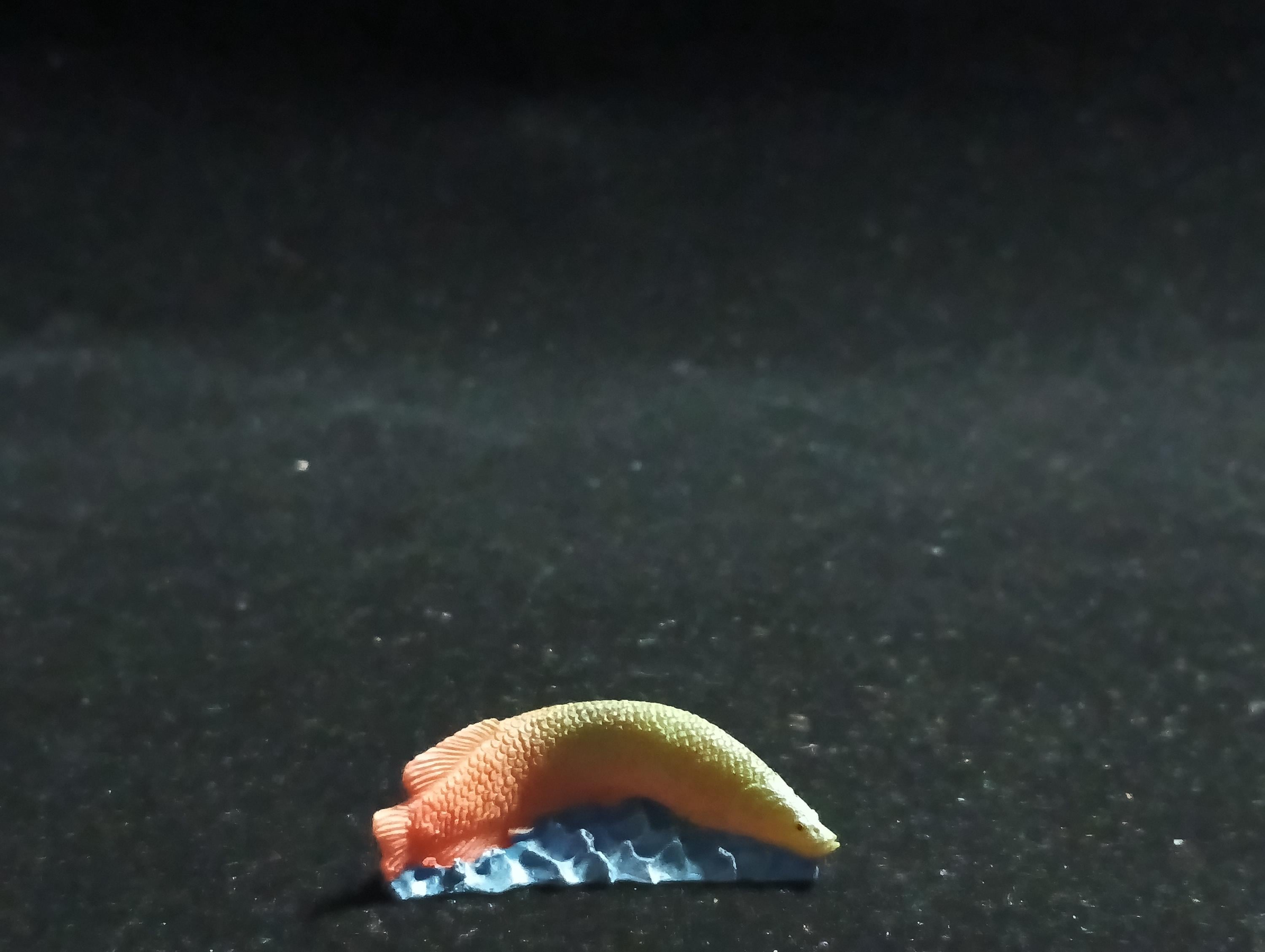 The Mysterious of Amazon Japan Exclusive Miniature - Arapaima gigas Kabaya 2003