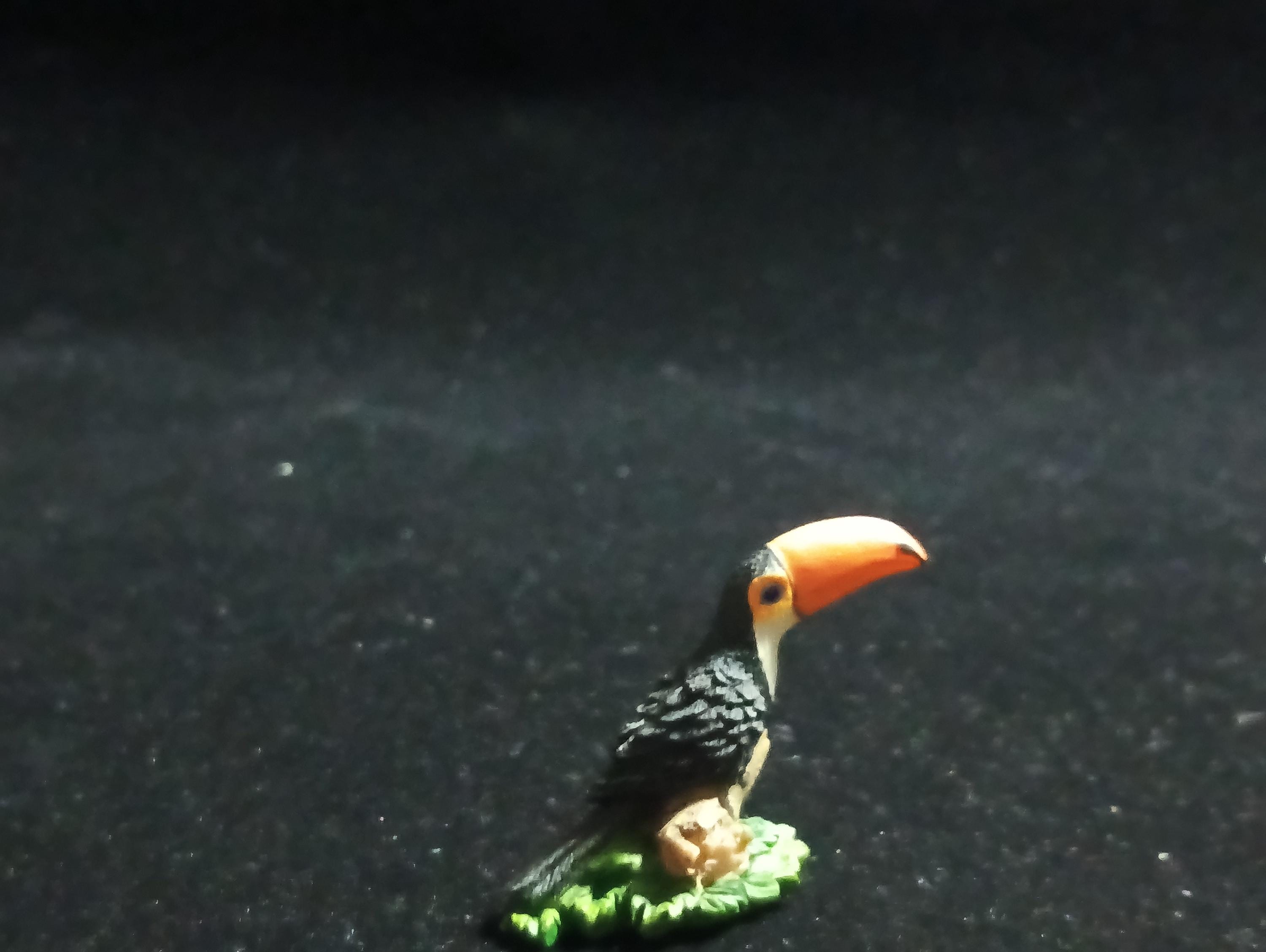 The Mysterious of Amazon Japan Exclusive Miniature - Ramphastos toco Kabaya 2003
