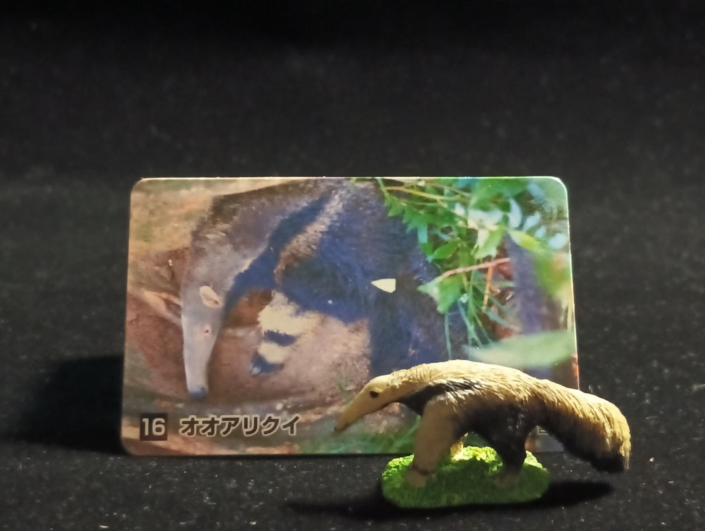 The Mysterious of Amazon Japan Exclusive Miniature - Giant Anteater Kabaya 2003