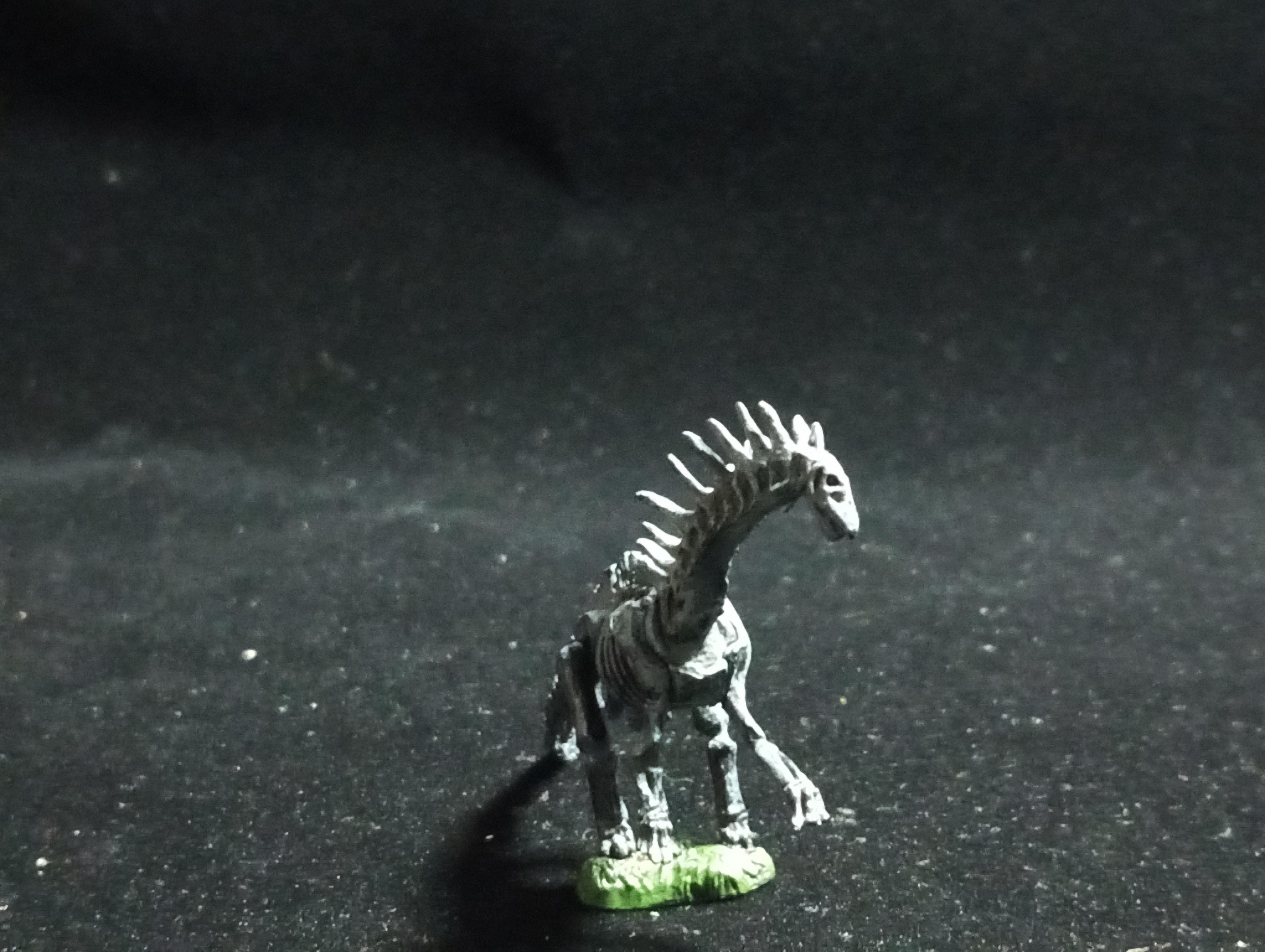 Miniature Dinosaur Amargasaurus Skeleton Figure Figurine -  Furuta