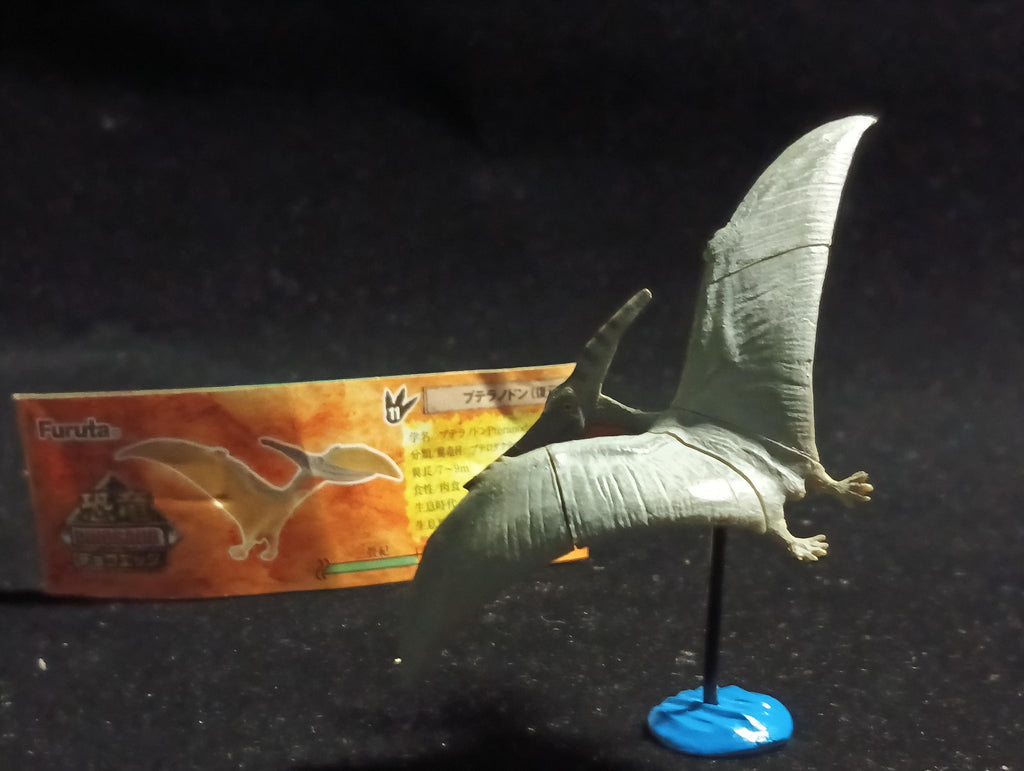Miniature Dinosaur Pteranodon Figure Figurine -  Furuta
