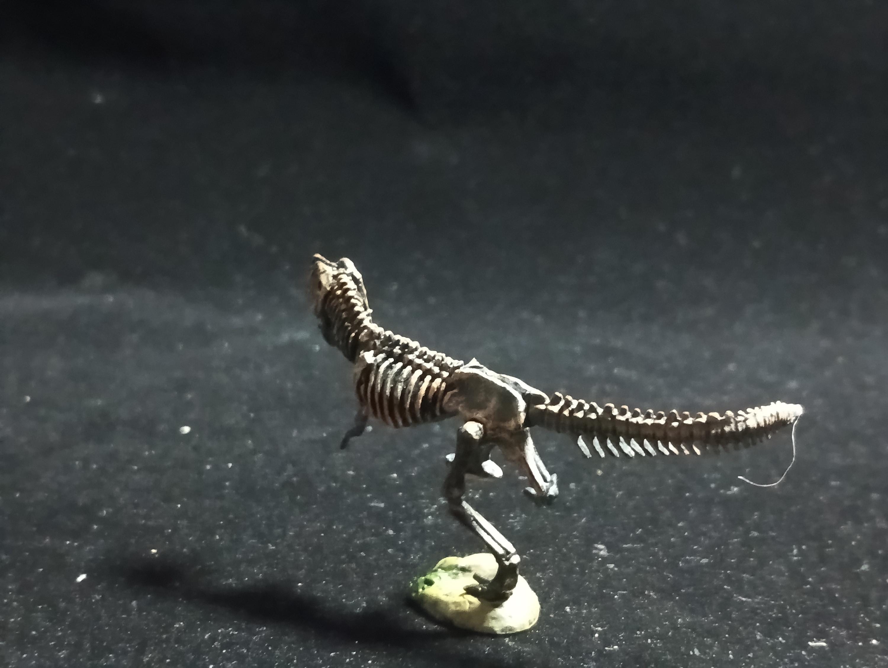 Miniature Dinosaur Tyrannosaurus Rex Skeleton Figure Figurine -  Furuta