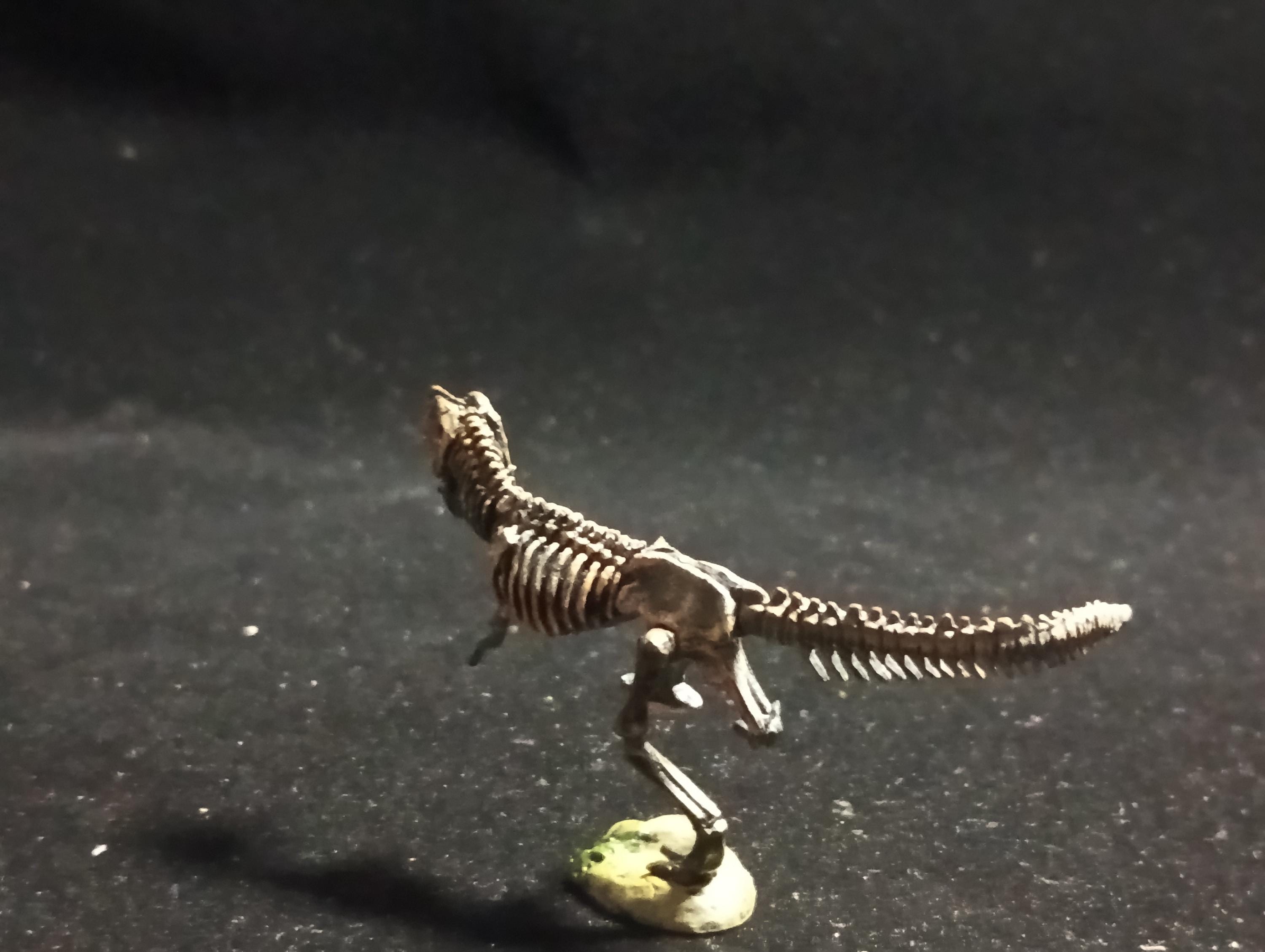 Miniature Dinosaur Tyrannosaurus Rex Skeleton Figure Figurine -  Furuta