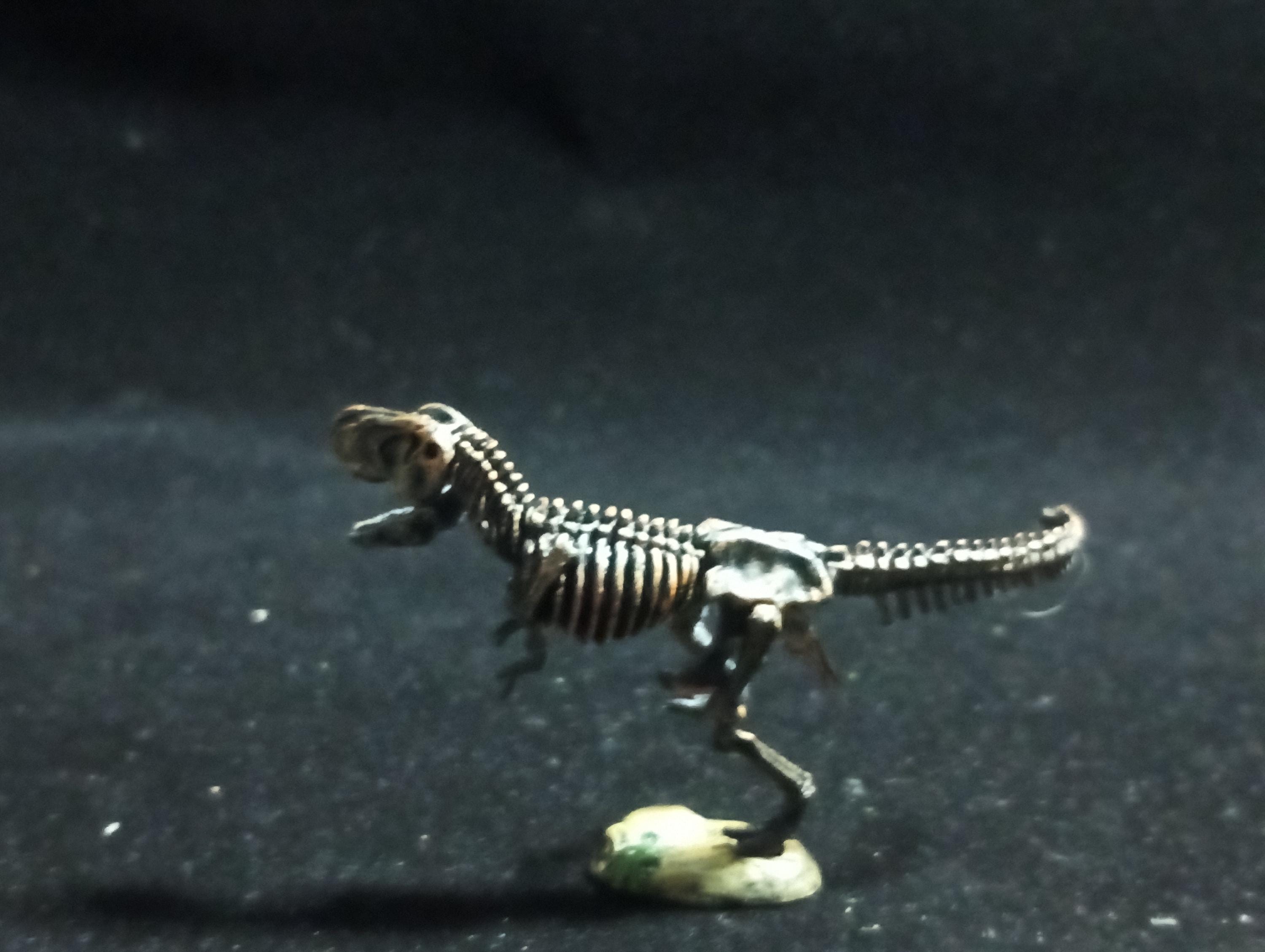 Miniature Dinosaur Tyrannosaurus Rex Skeleton Figure Figurine -  Furuta