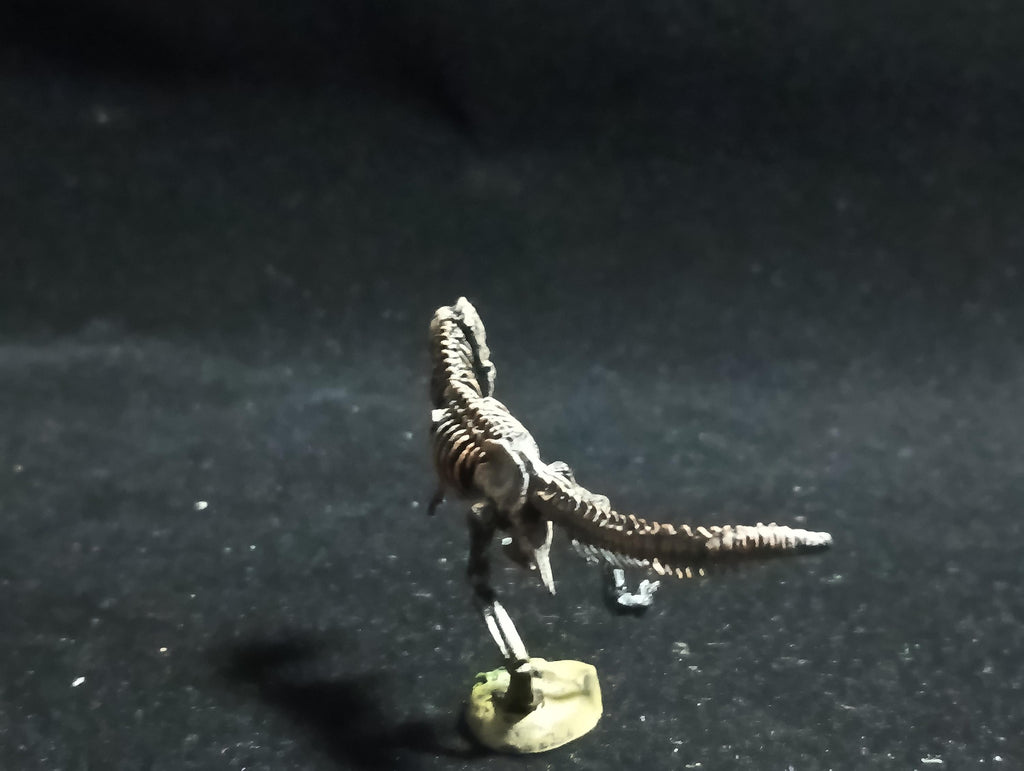 Miniature Dinosaur Tyrannosaurus Rex Skeleton Figure Figurine -  Furuta