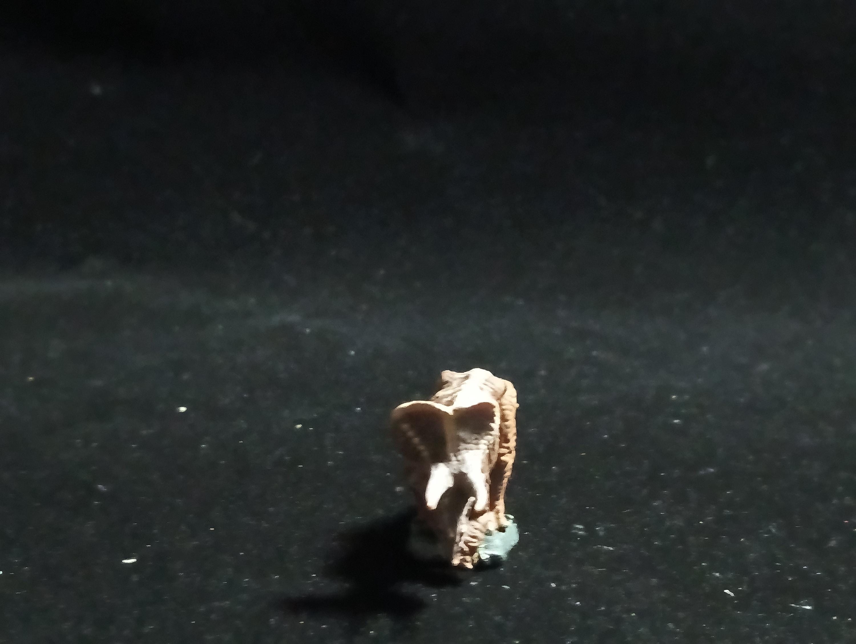 Miniature Dinosaur Triceratops Figure Figurine -  Furuta