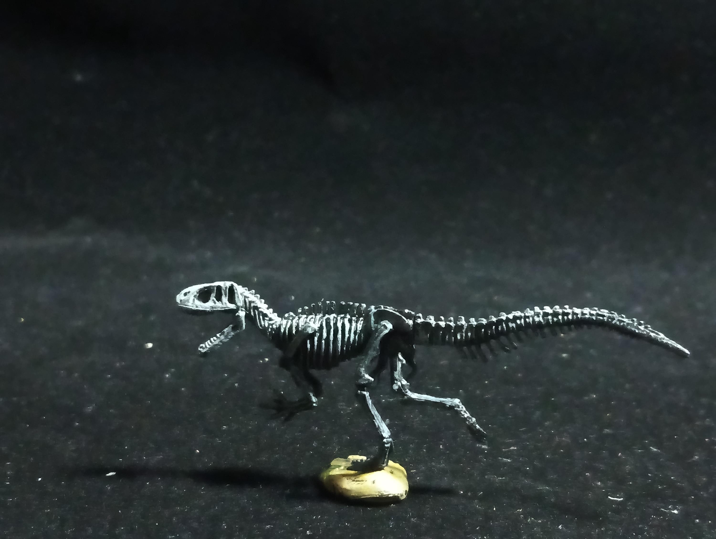 Miniature Dinosaur Fukuiraptor Raptor Skeleton Figure Figurine -  Furuta