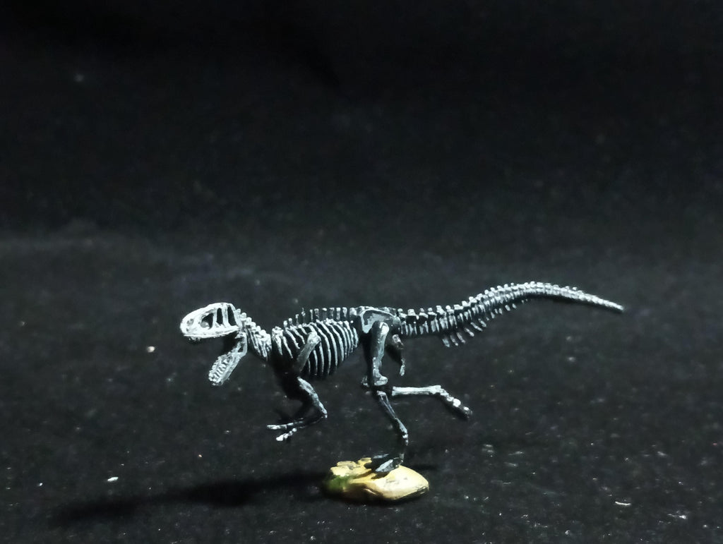 Miniature Dinosaur Fukuiraptor Raptor Skeleton Figure Figurine -  Furuta