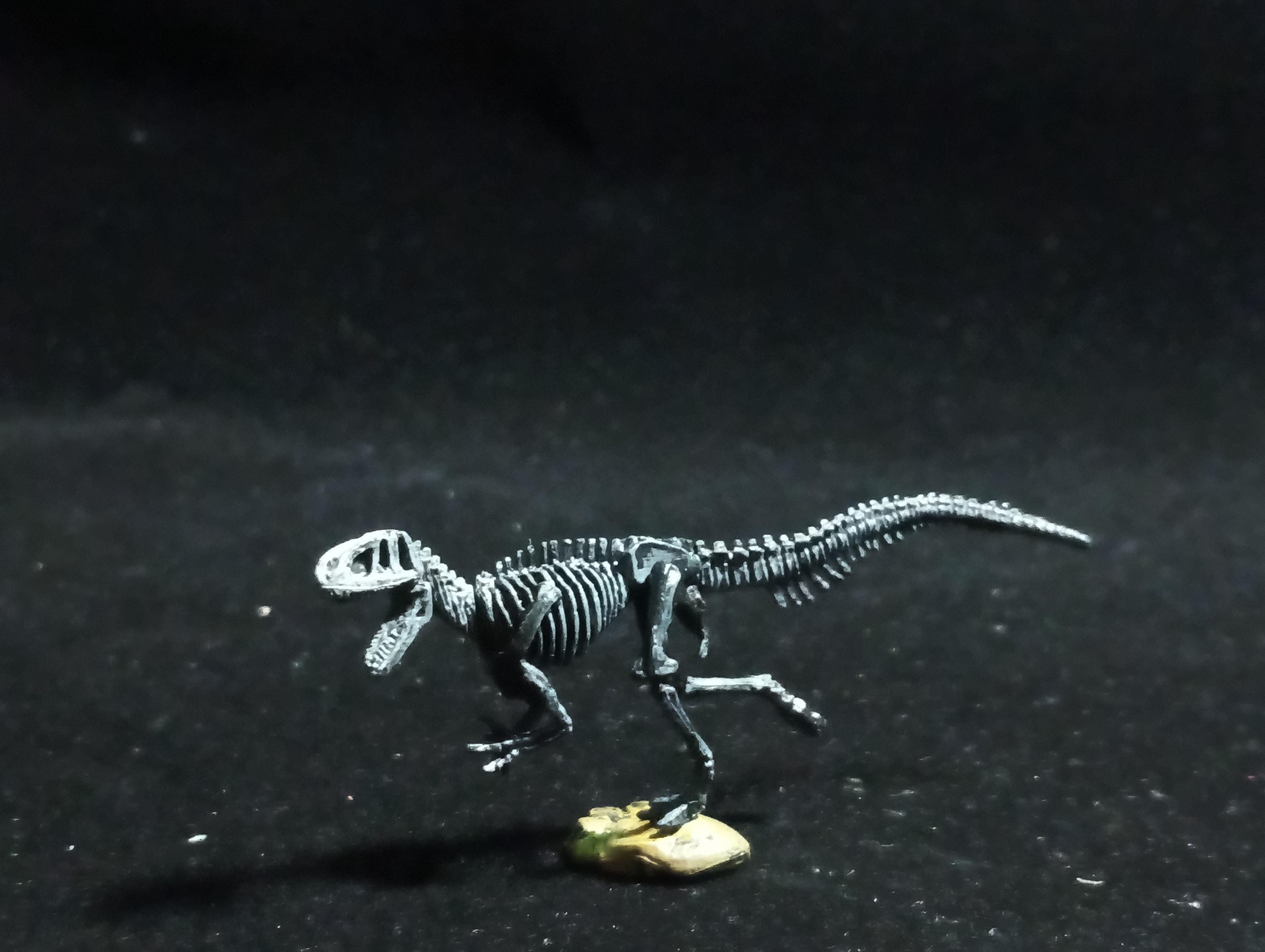 Miniature Dinosaur Fukuiraptor Raptor Skeleton Figure Figurine -  Furuta