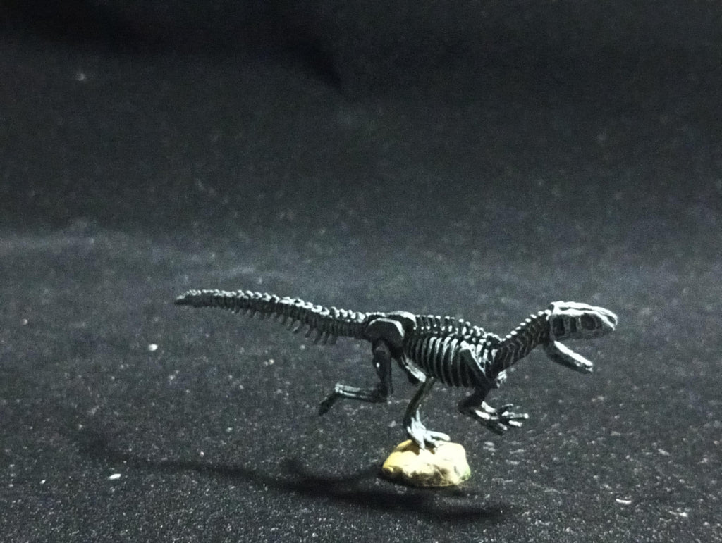 Miniature Dinosaur Fukuiraptor Raptor Skeleton Figure Figurine -  Furuta