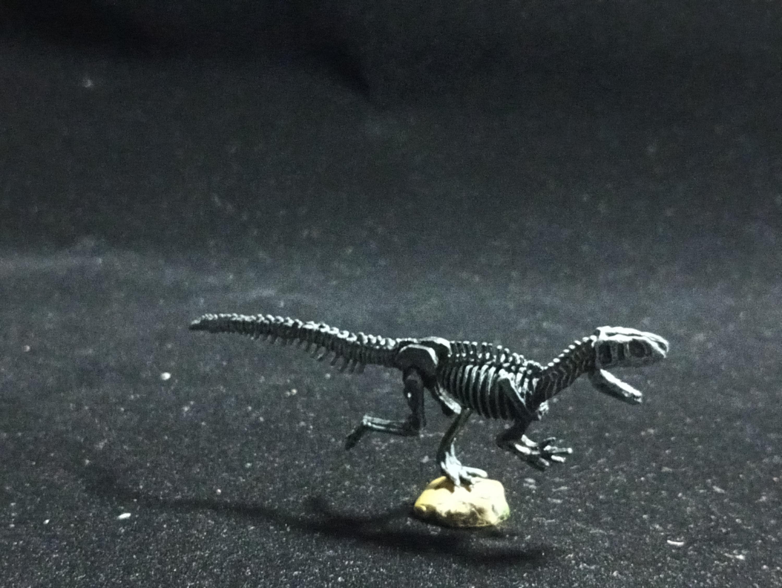 Miniature Dinosaur Fukuiraptor Raptor Skeleton Figure Figurine -  Furuta