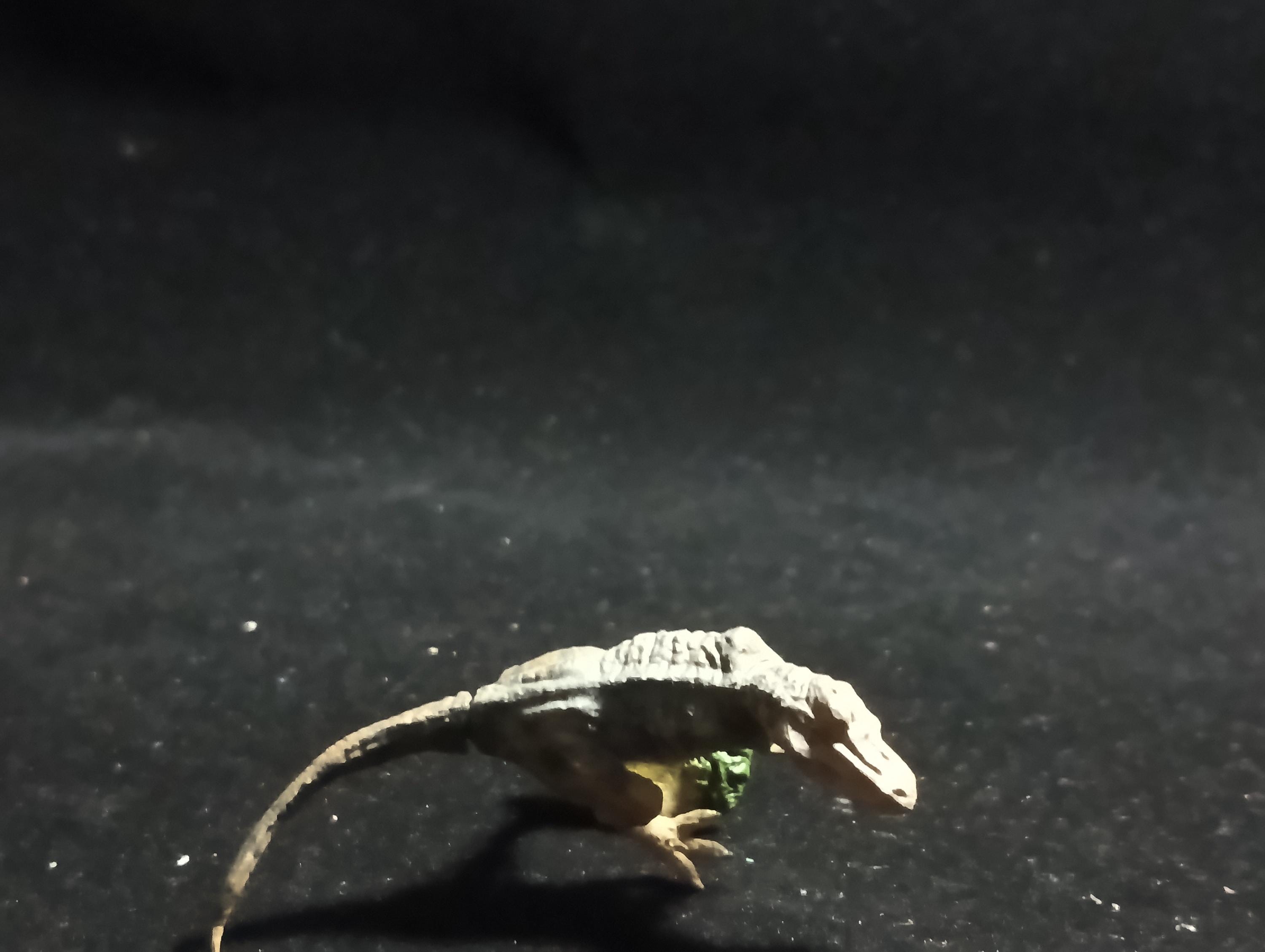 Miniature Dinosaur Tyrannosaurus Figure Figurine -  Furuta