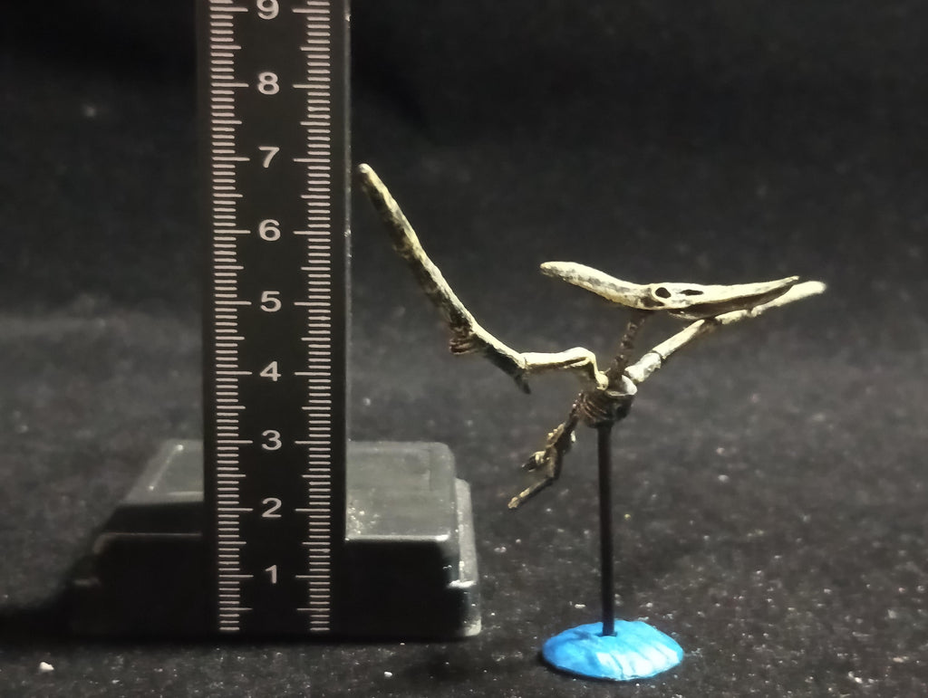 Miniature Dinosaur Pteranodon Skeleton Figurine -  Furuta