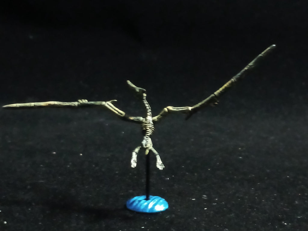 Miniature Dinosaur Pteranodon Skeleton Figurine -  Furuta