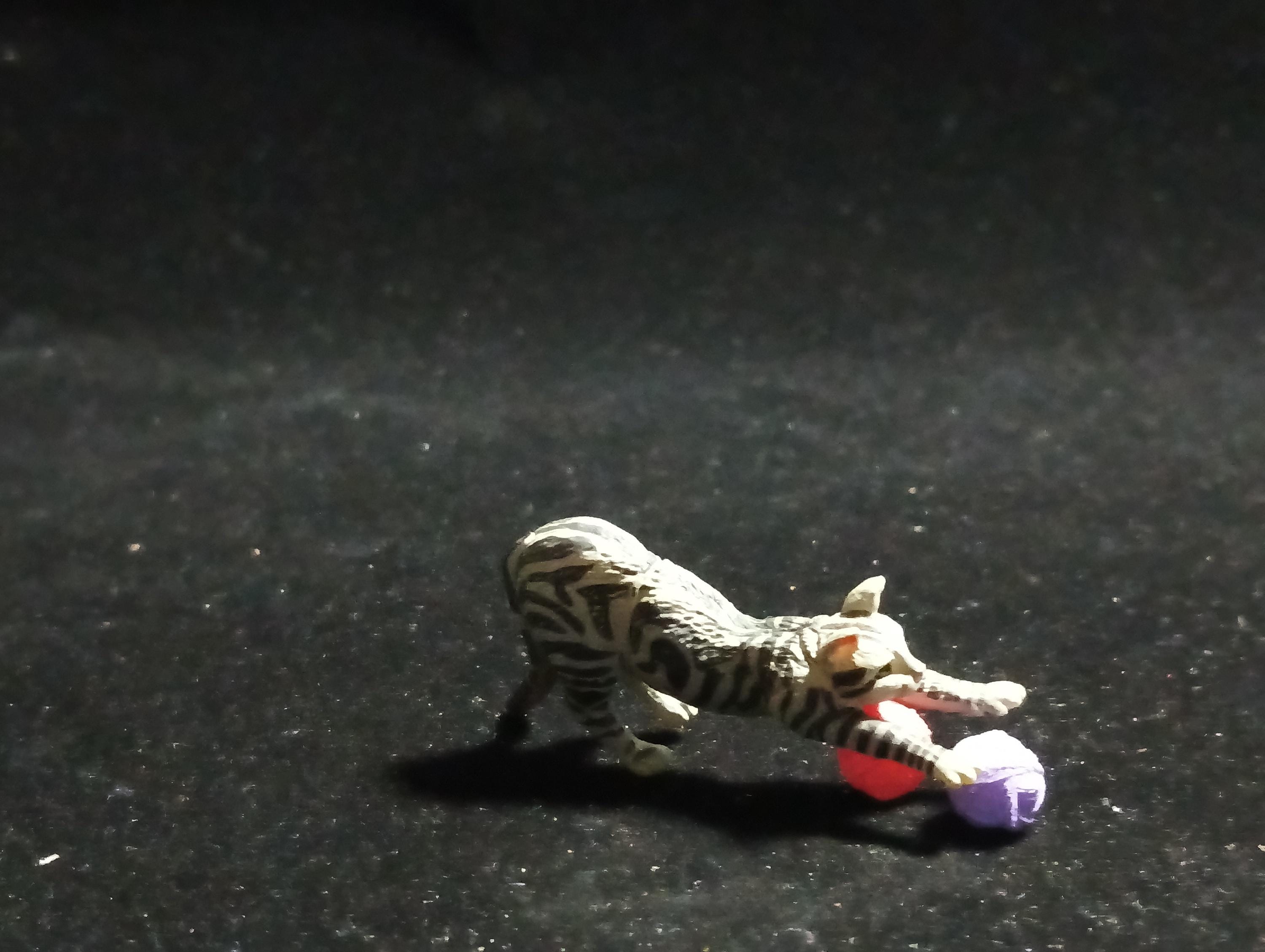 Miniature I Love Pet! American Shorthair(Grey) Figurine -  Furuta