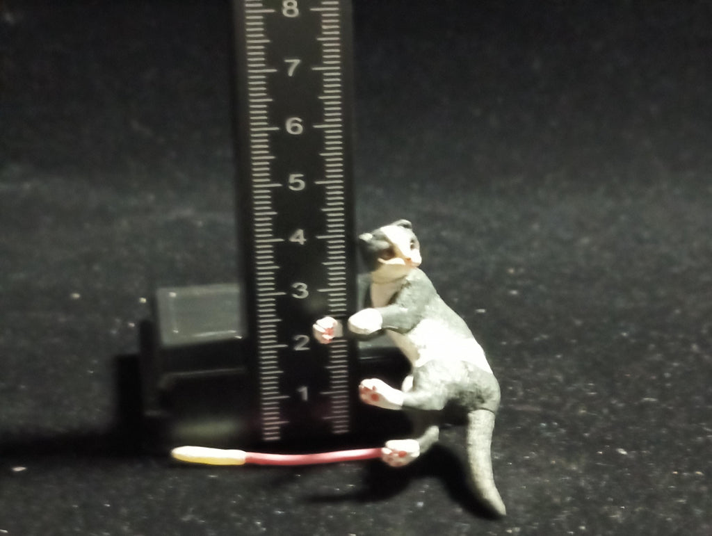 Miniature I Love Pet! Scottish Fold(Brown Eye) Figurine -  Furuta