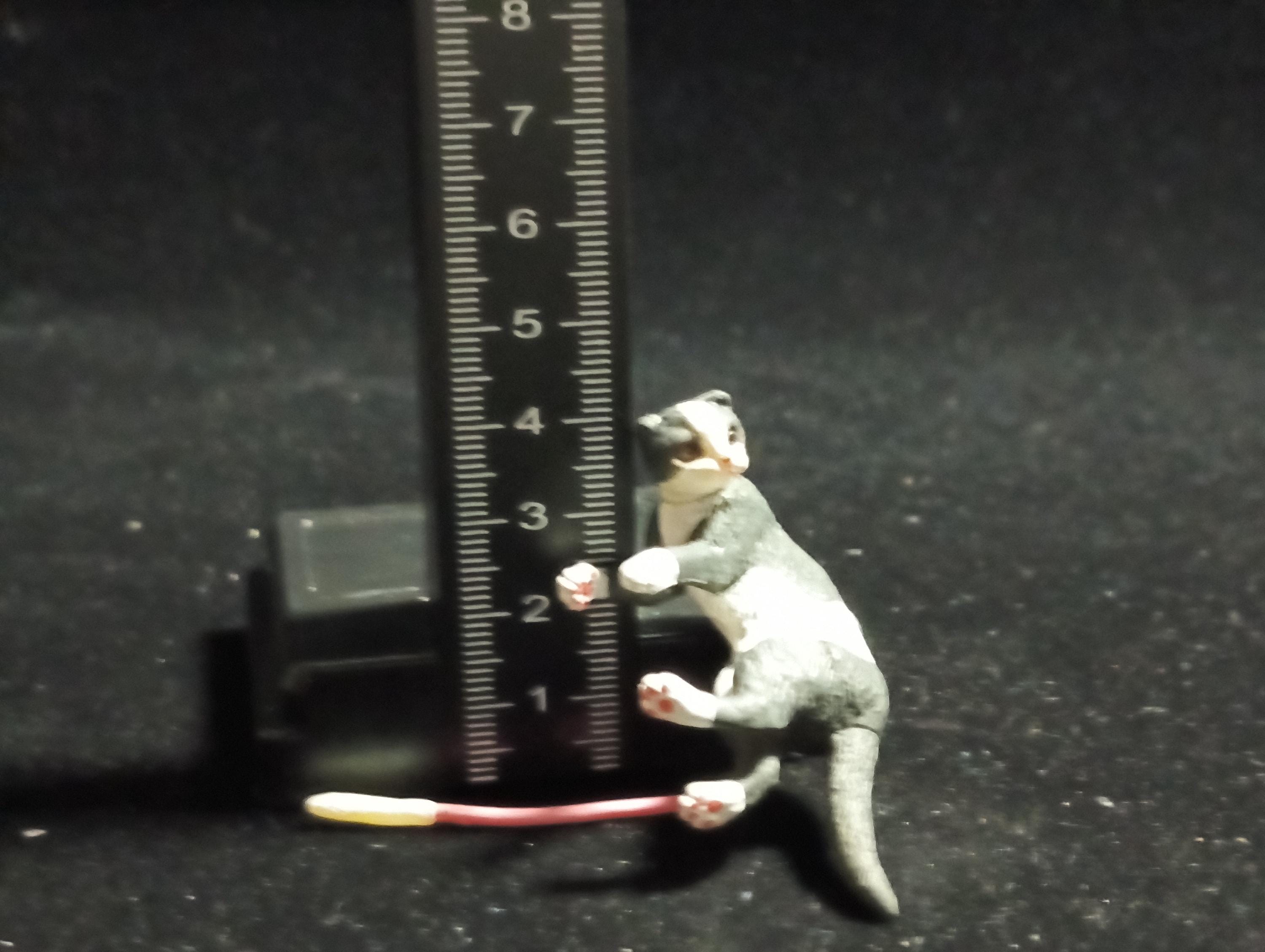 Miniature I Love Pet! Scottish Fold(Brown Eye) Figurine -  Furuta