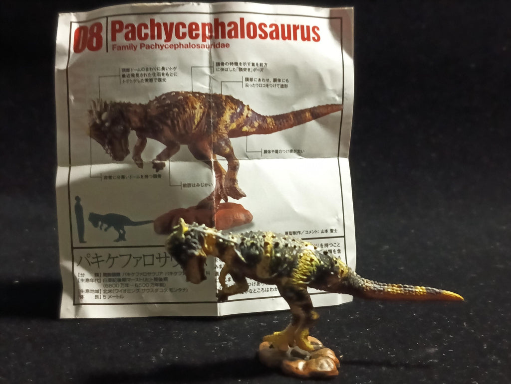 Kaiyodo UHA Dinotales Series 5 Pachycephalosaurus